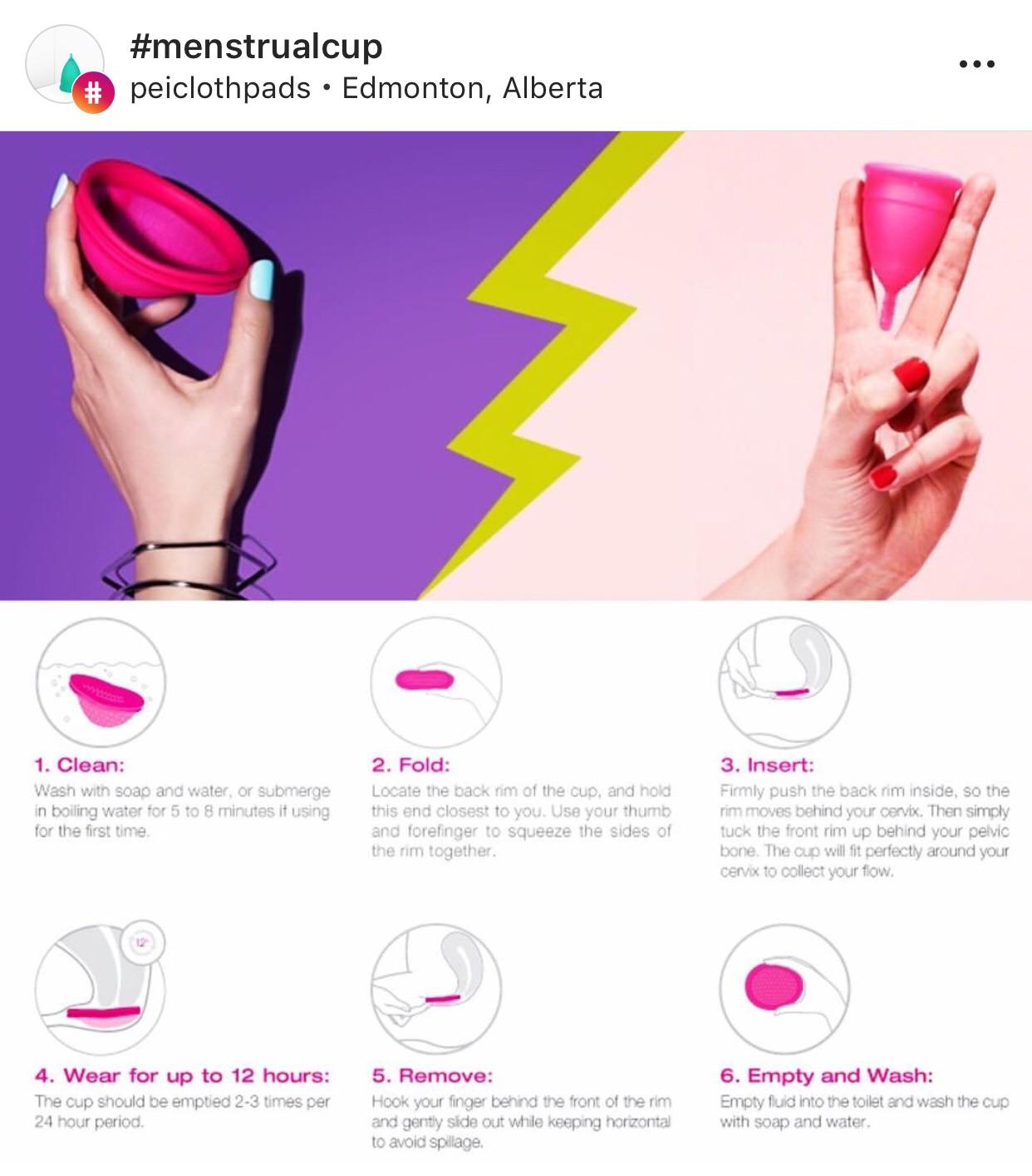 Which one ladies? Disc or cup??? r/menstrualcups