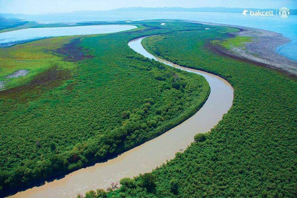Although it looks like the Amazon, it is a riparian forest on the north