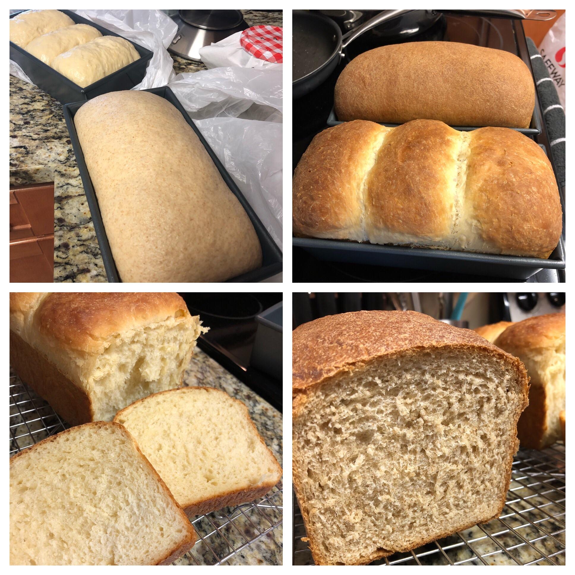 Hokkaido milk bread and honeywheat sandwich loaf r/Breadit