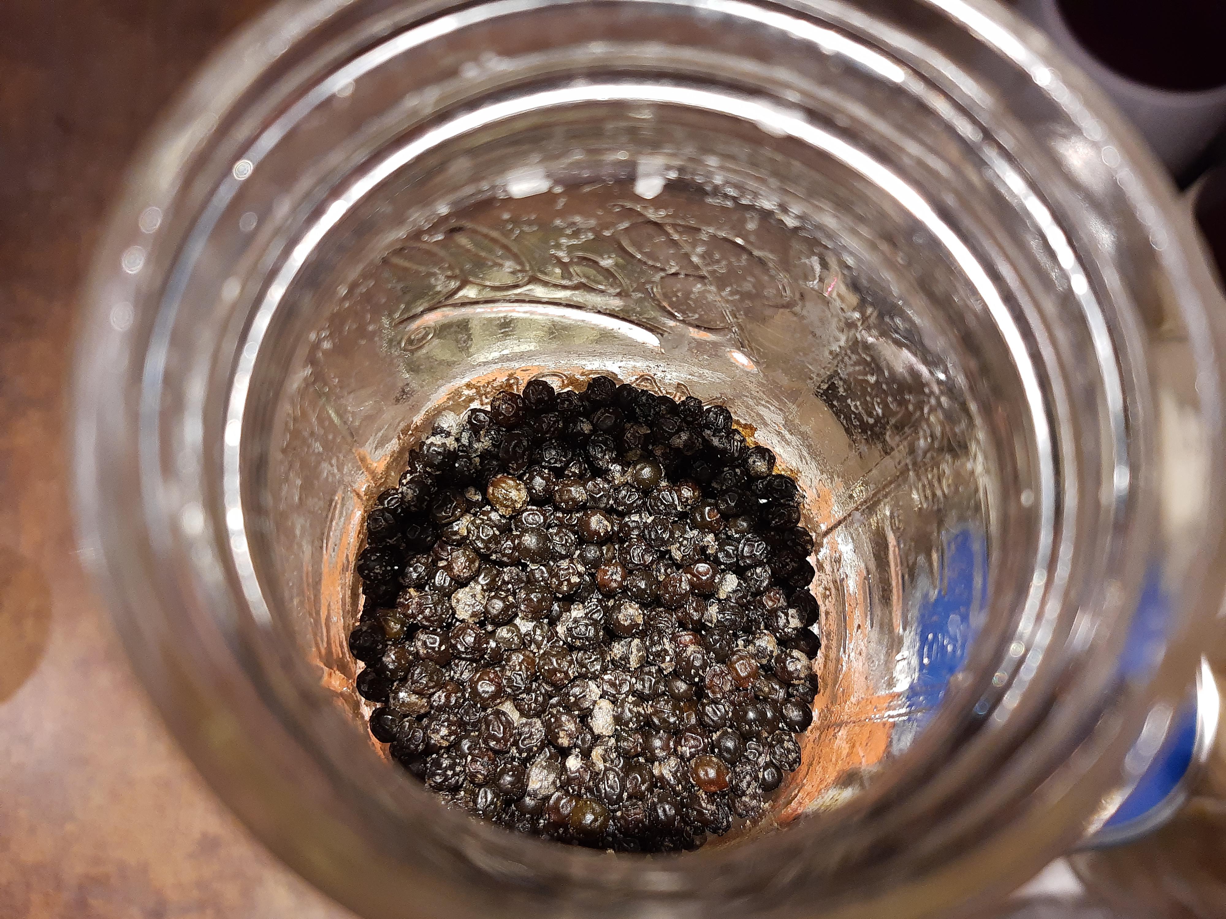 Fermented black pepper r/fermentation