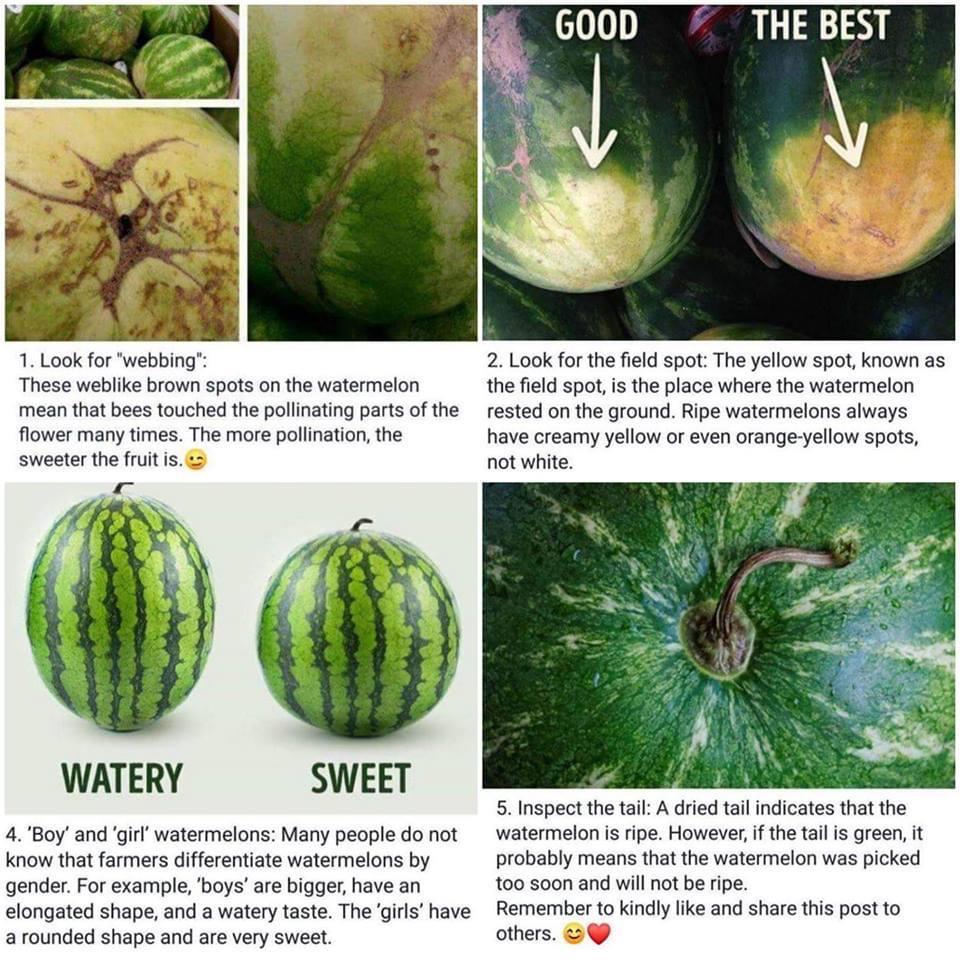 A guide to choosing watermelons