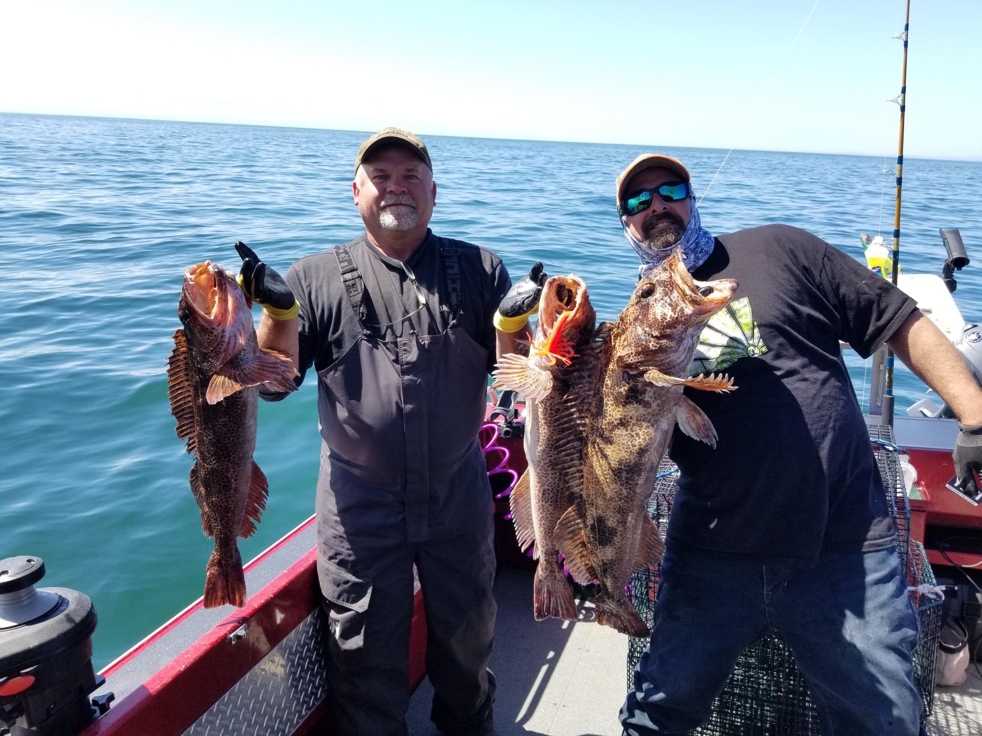 Lingcod from the straits in Washington last weekend r/Fishing