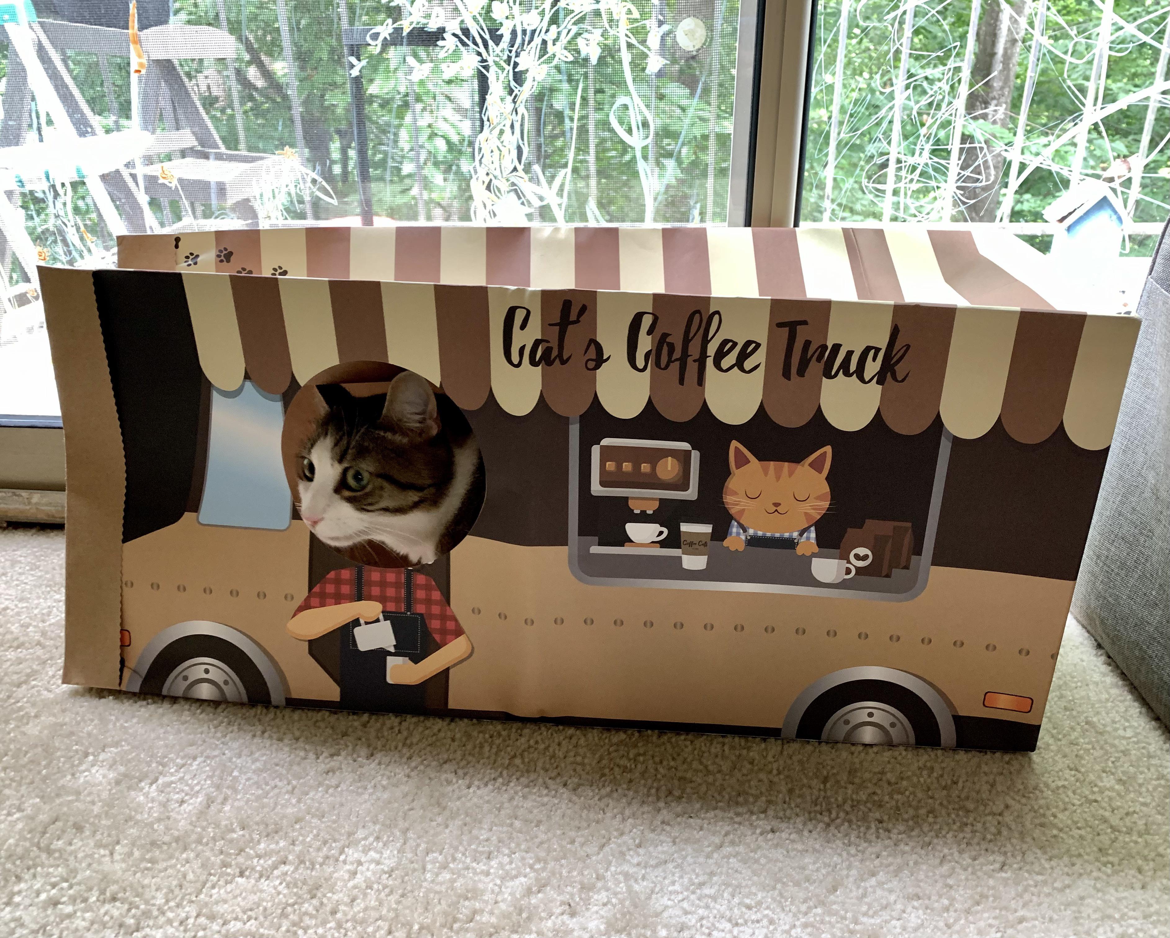 Aldi's Priano Breaded Veal Patties really good! (and kids love them