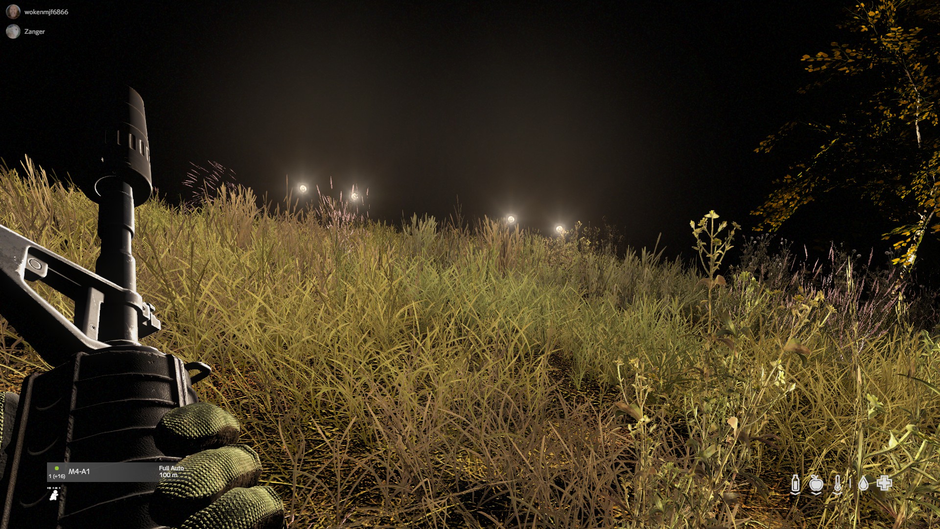 Night time is just so beautiful r/dayz