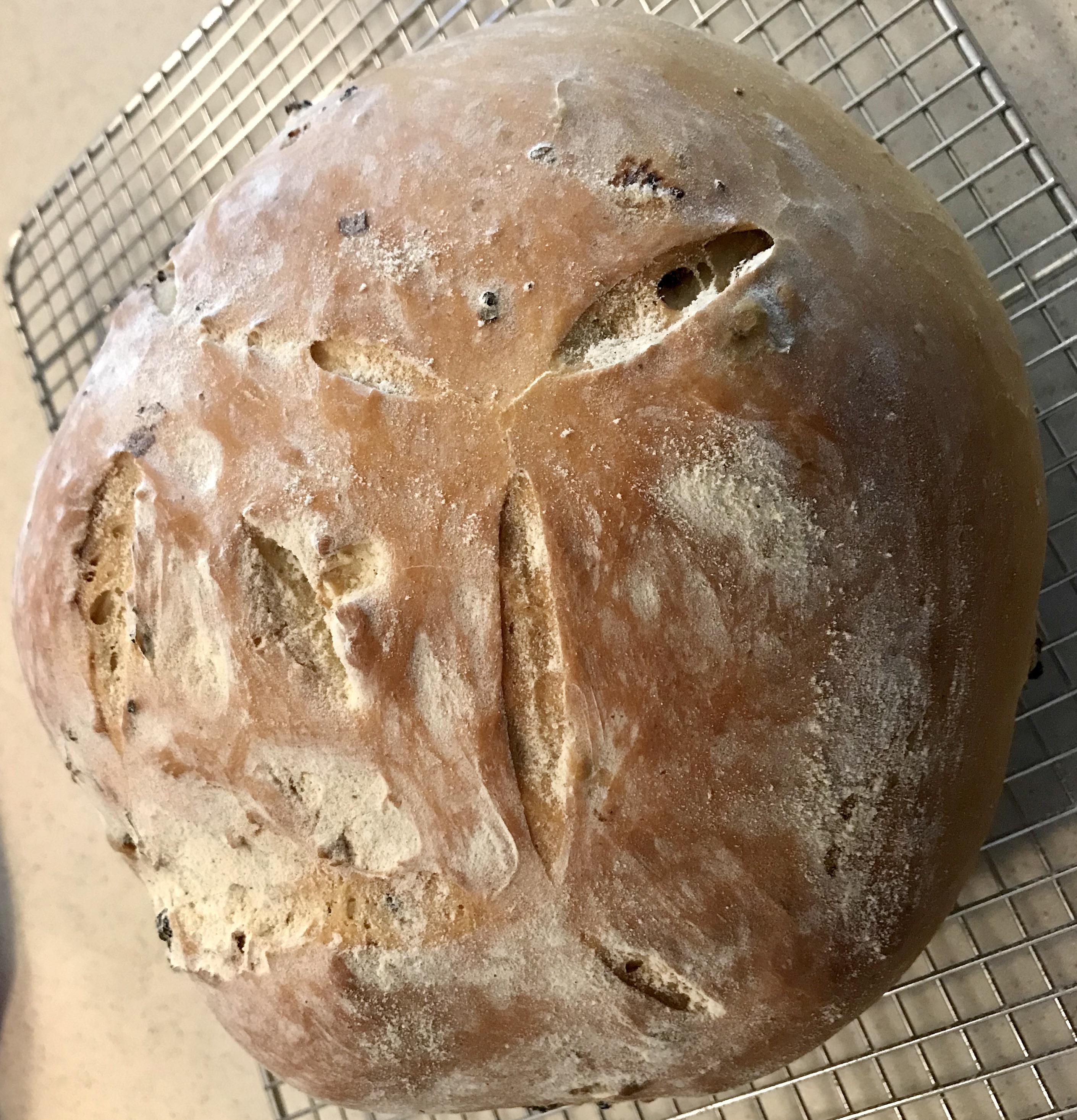 Sundried tomato with garlic and oregano bread. Tried some slashing, over proved, but tastes