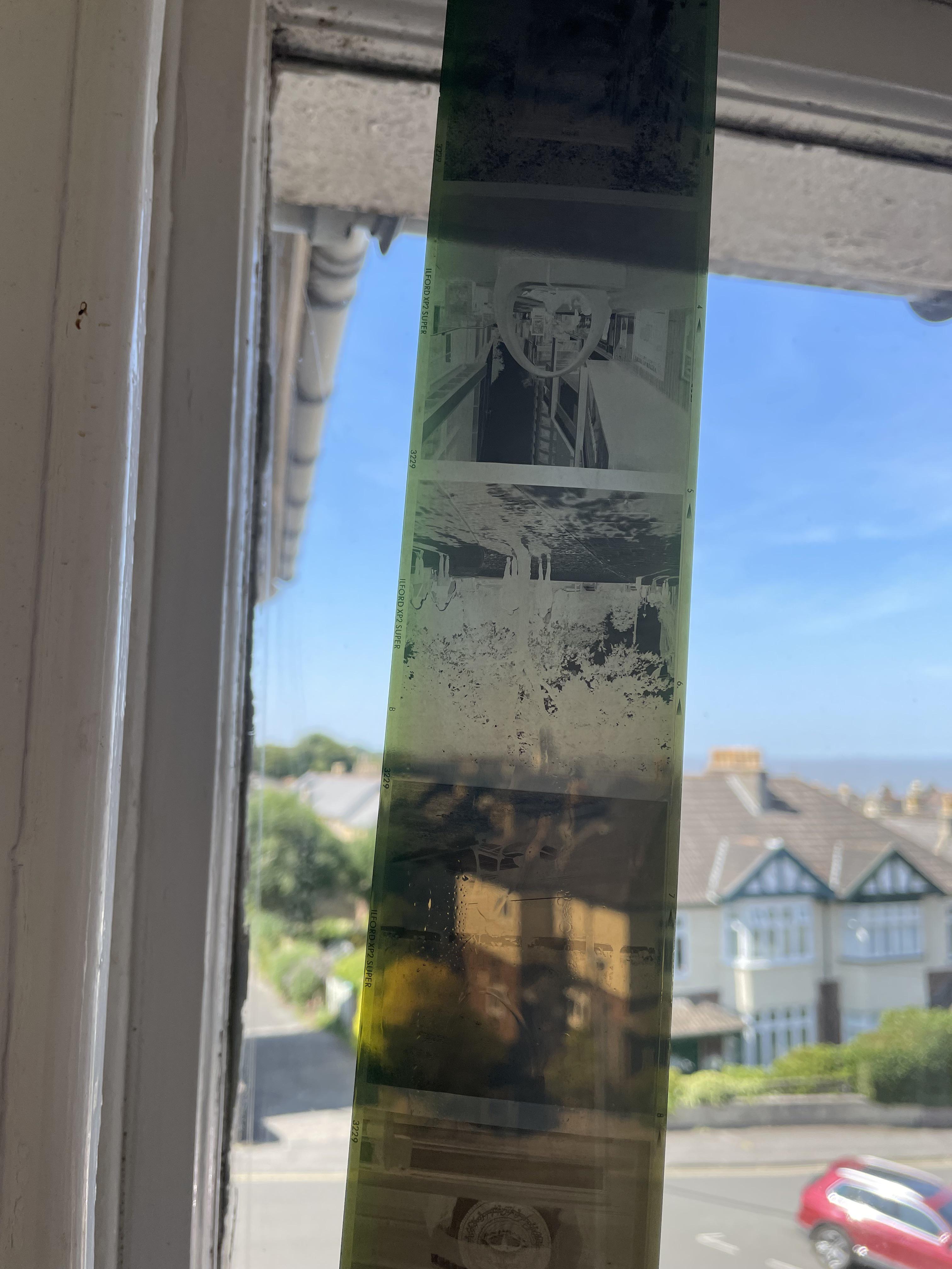 Just developed expired (20 years!) Ilford XP2 120 film, C41 process at