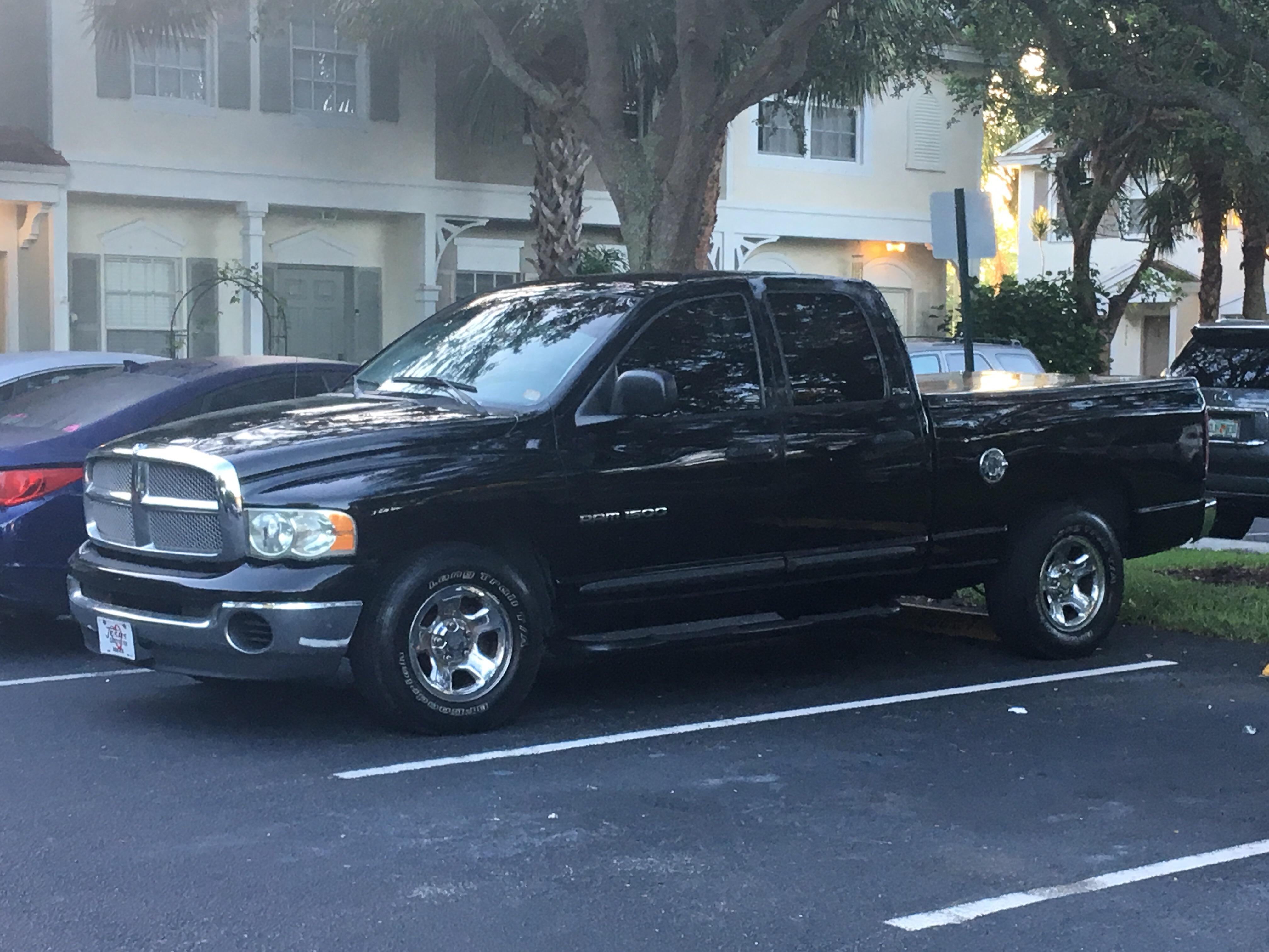 Bought my first truck 2 weeks ago! 2002 Dodge Ram 1500 SLT with 126k