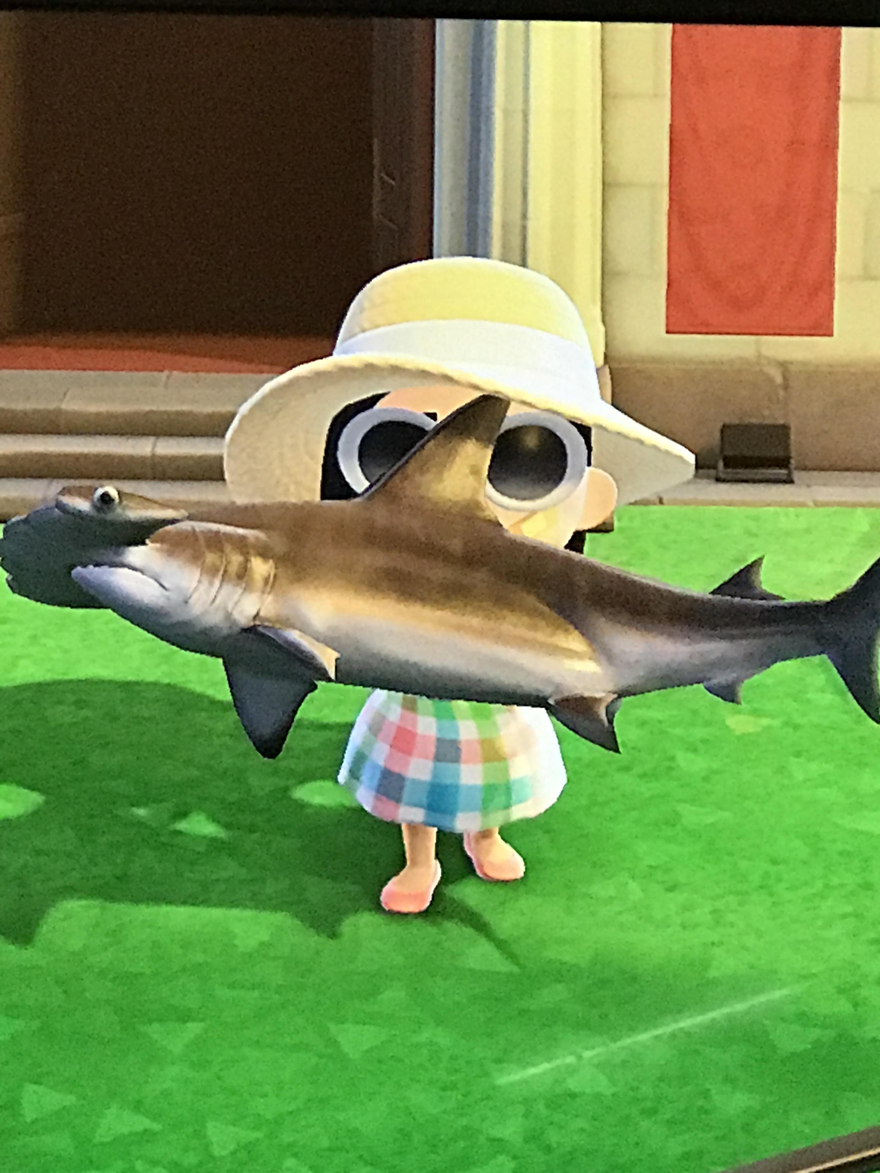 Well at least I found out that everything I fish at 5 am are sharks or