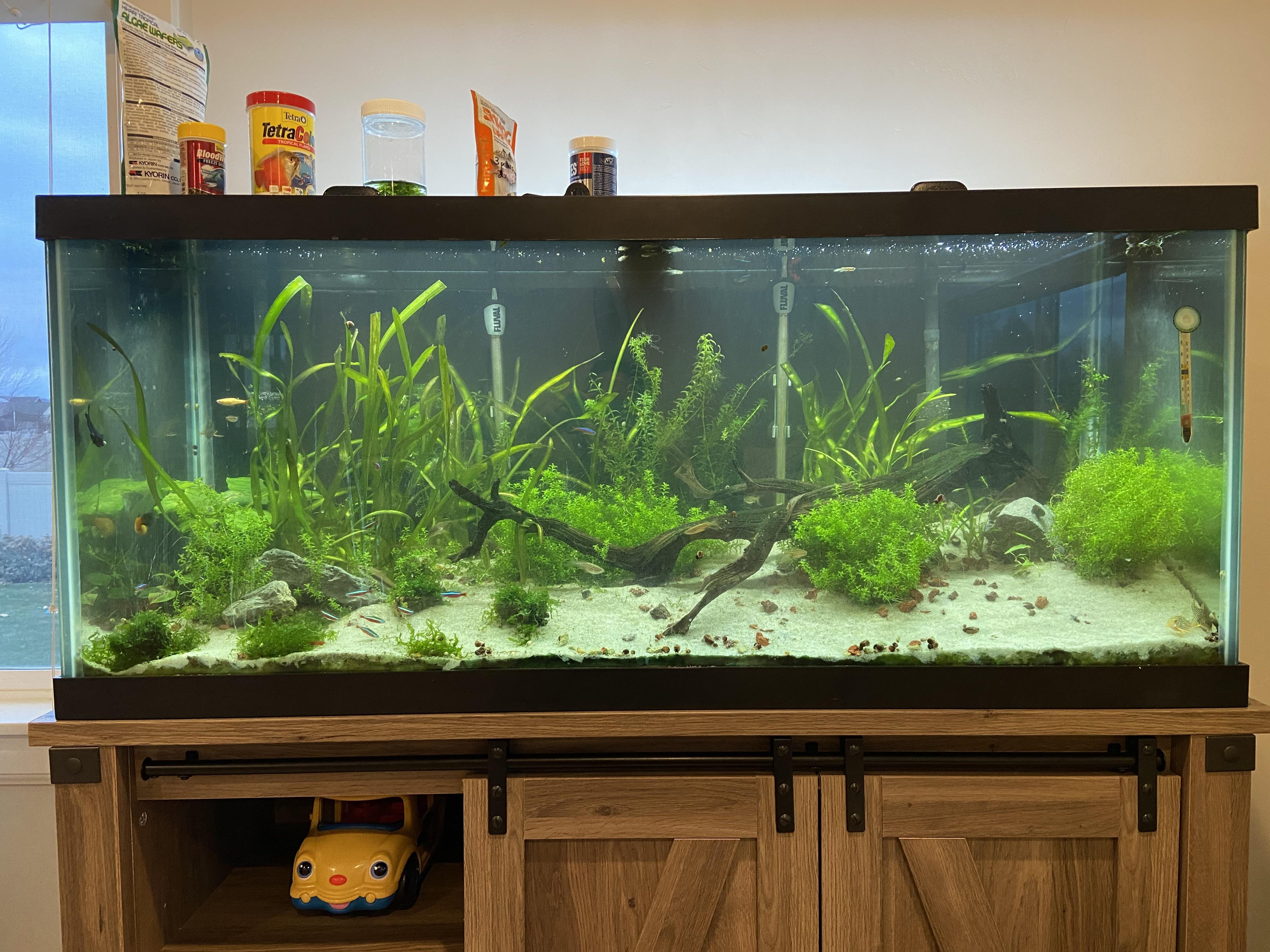 Do those vacation feeders work? r/Aquariums