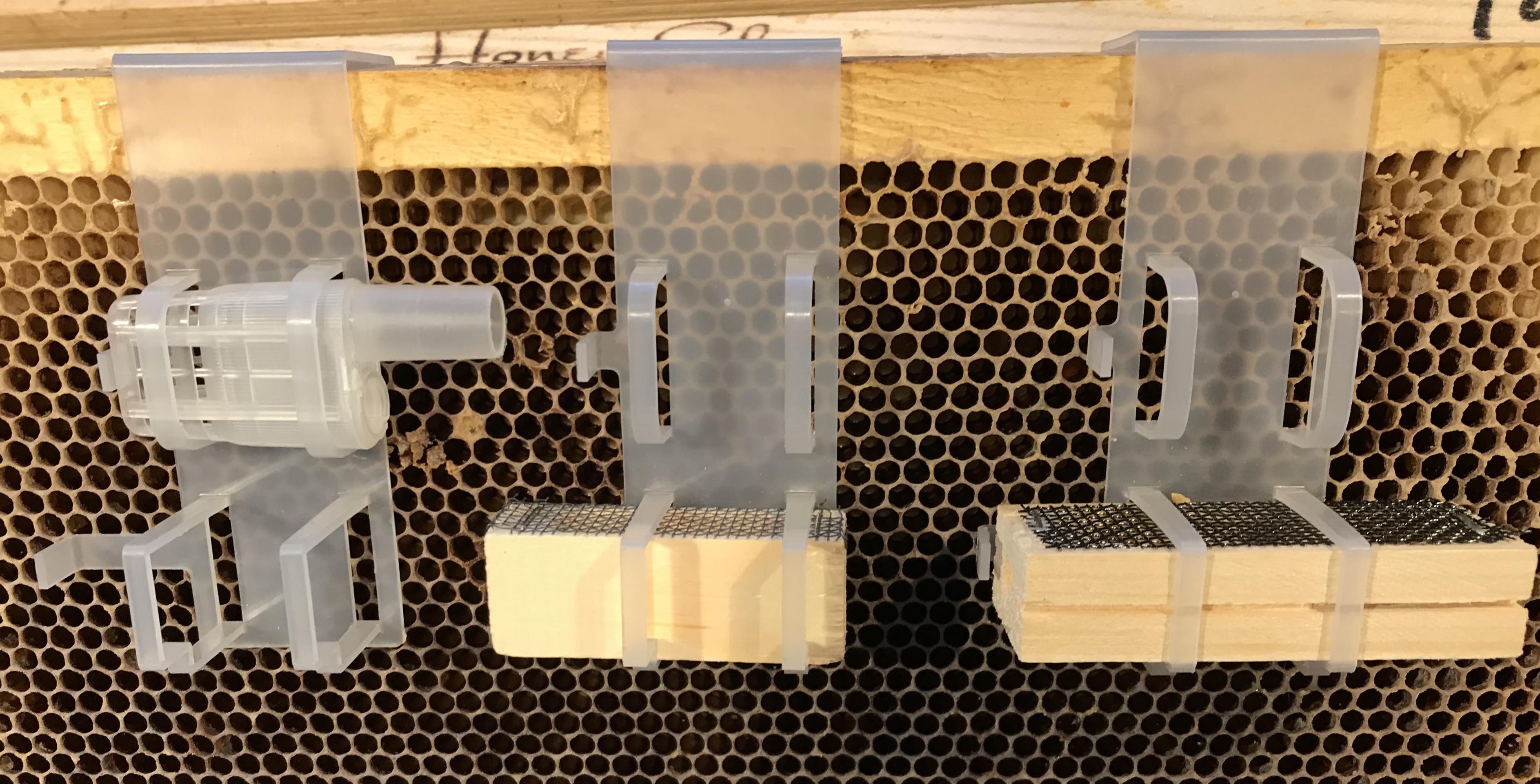 Queen Cage Holders r/Beekeeping