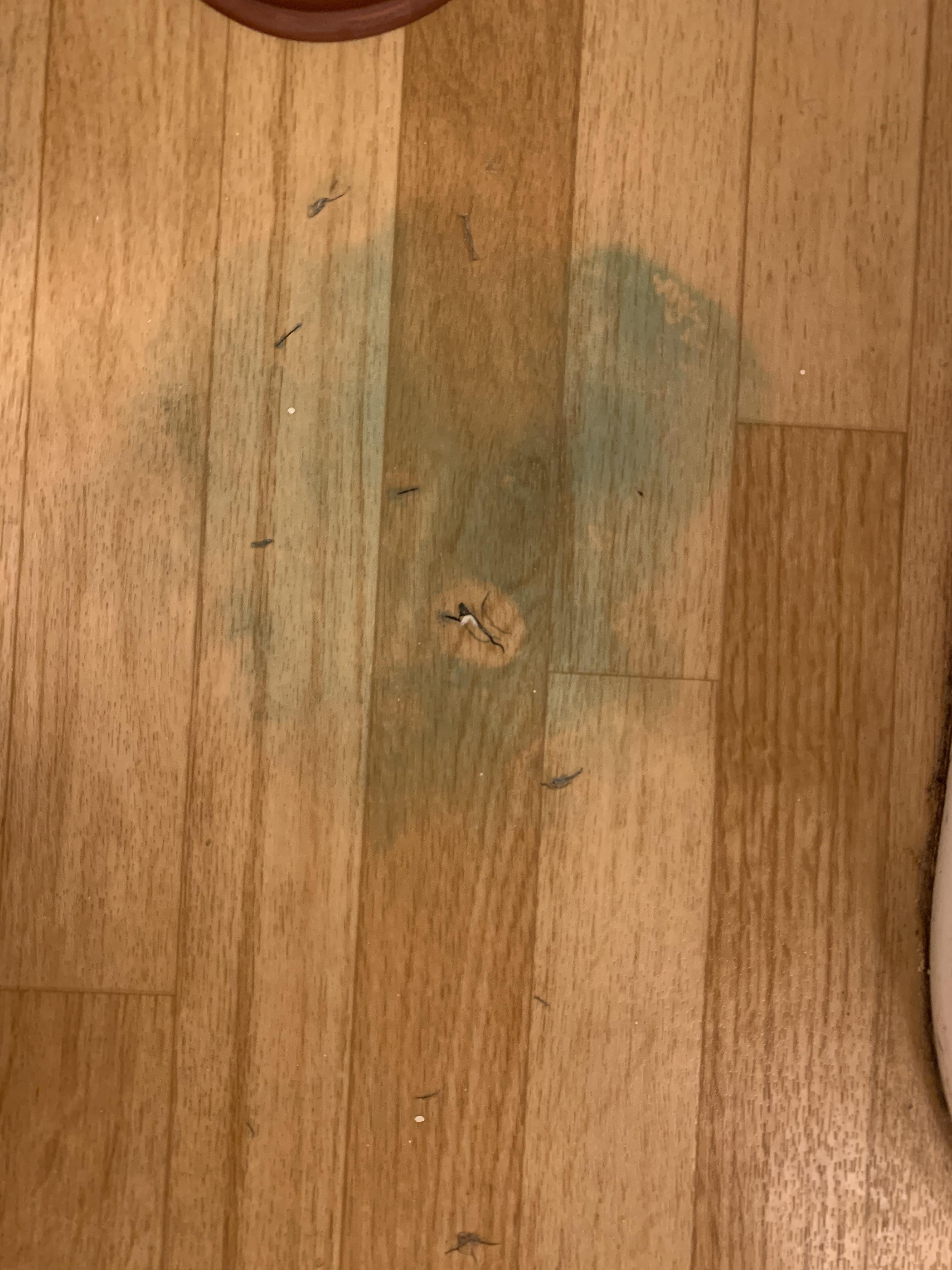 How can I get this blue toilet bowl cleaner stain out of my hardwood