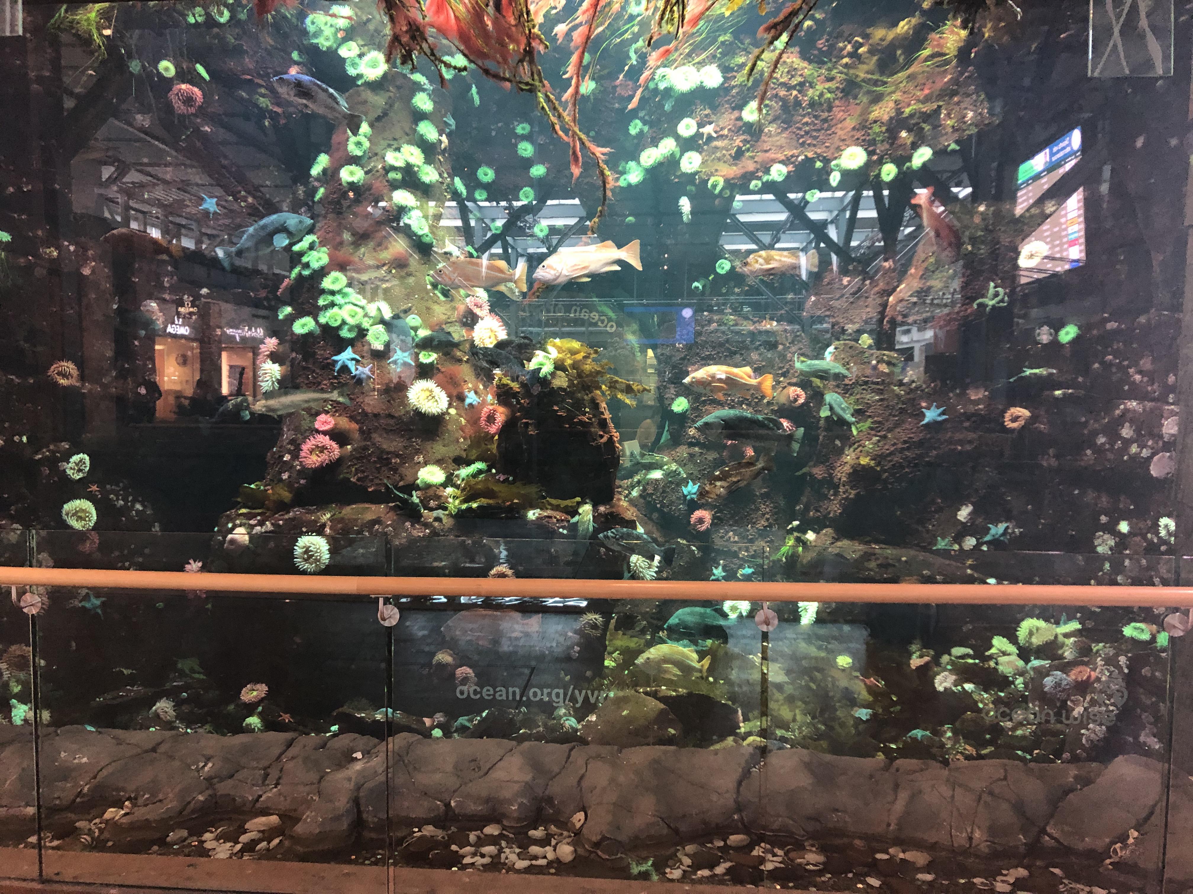 Aquarium at Vancouver International Airport r/Aquariums