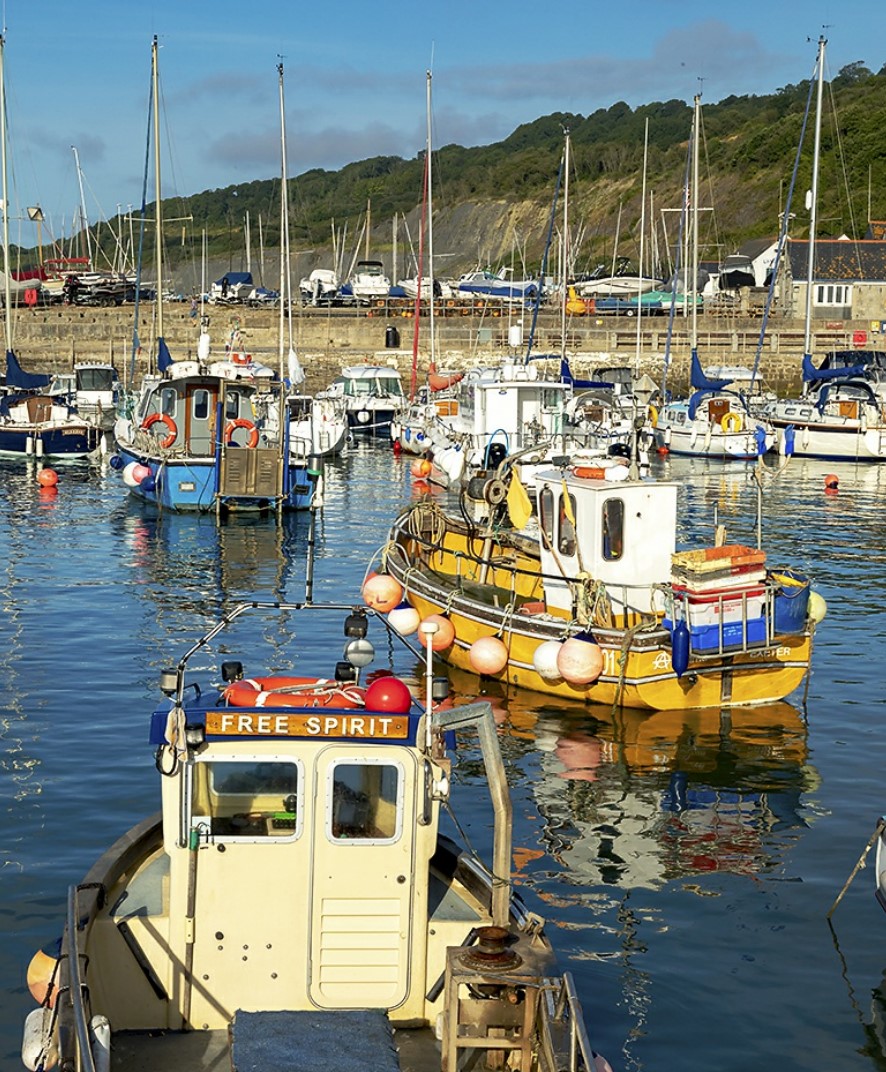 Fishing boats, Lyme Regis, Dorset. r/britpics