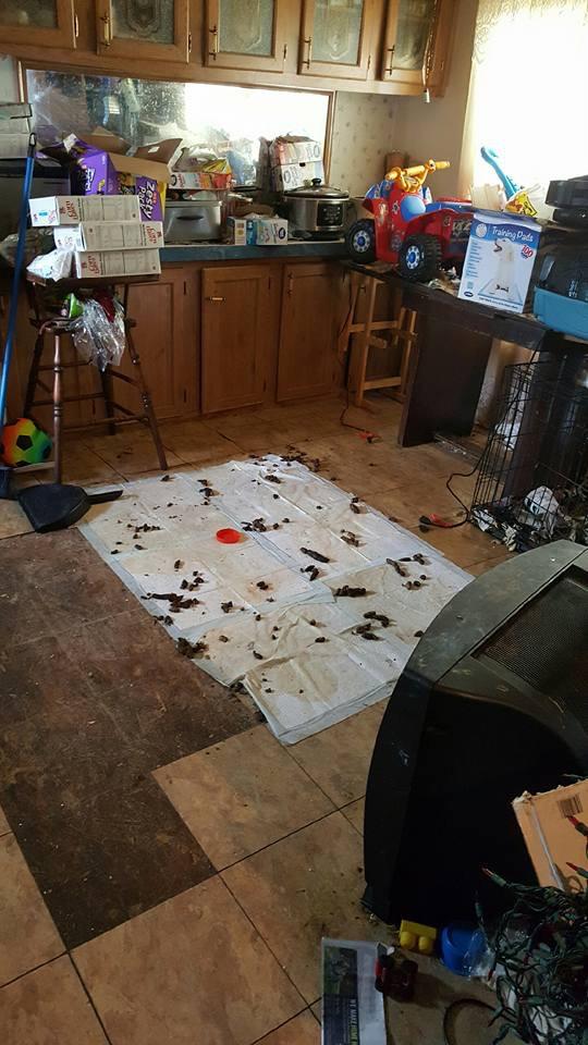 I think the people living here might be hoarders. r/WTF