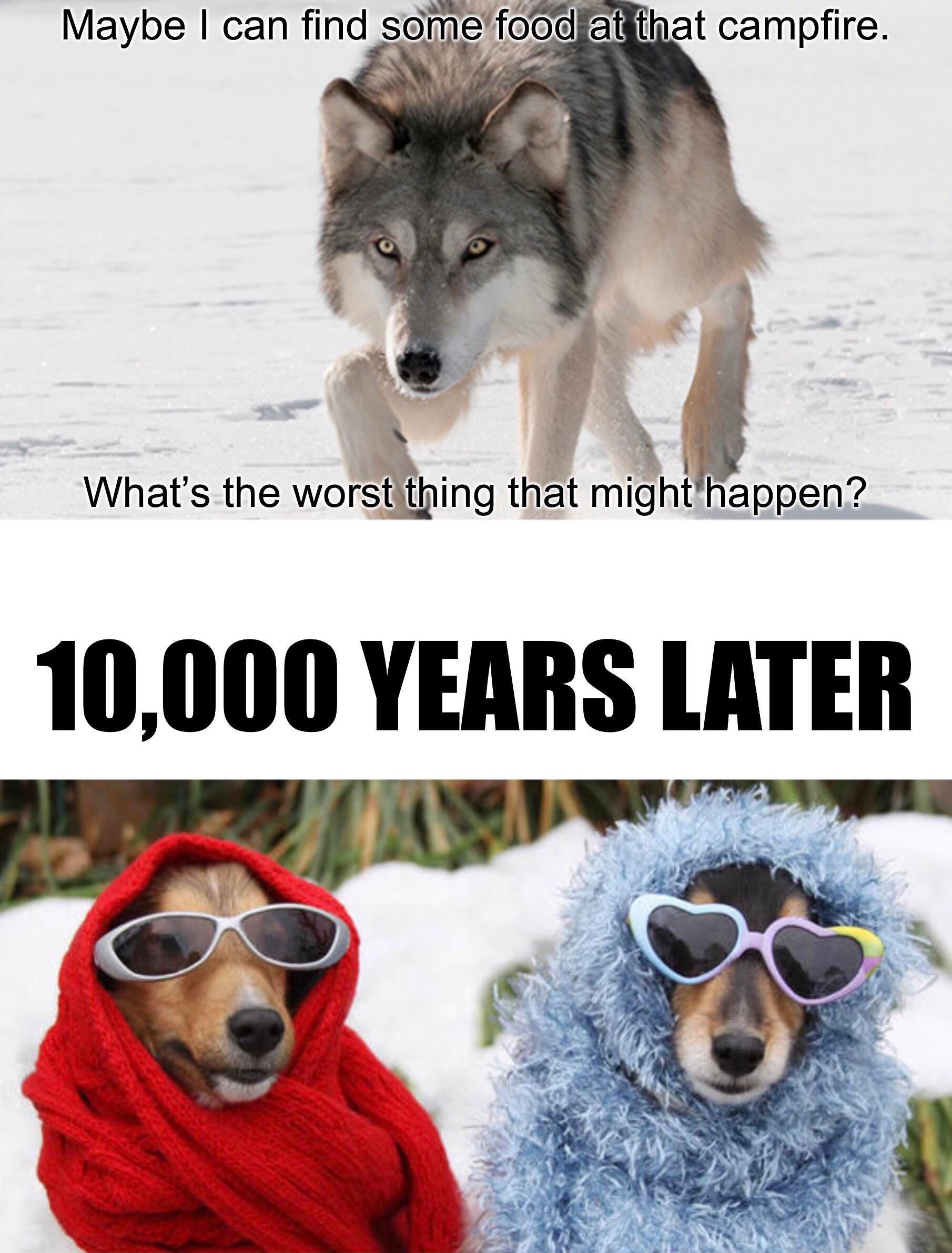 Evolution is for everyone memes