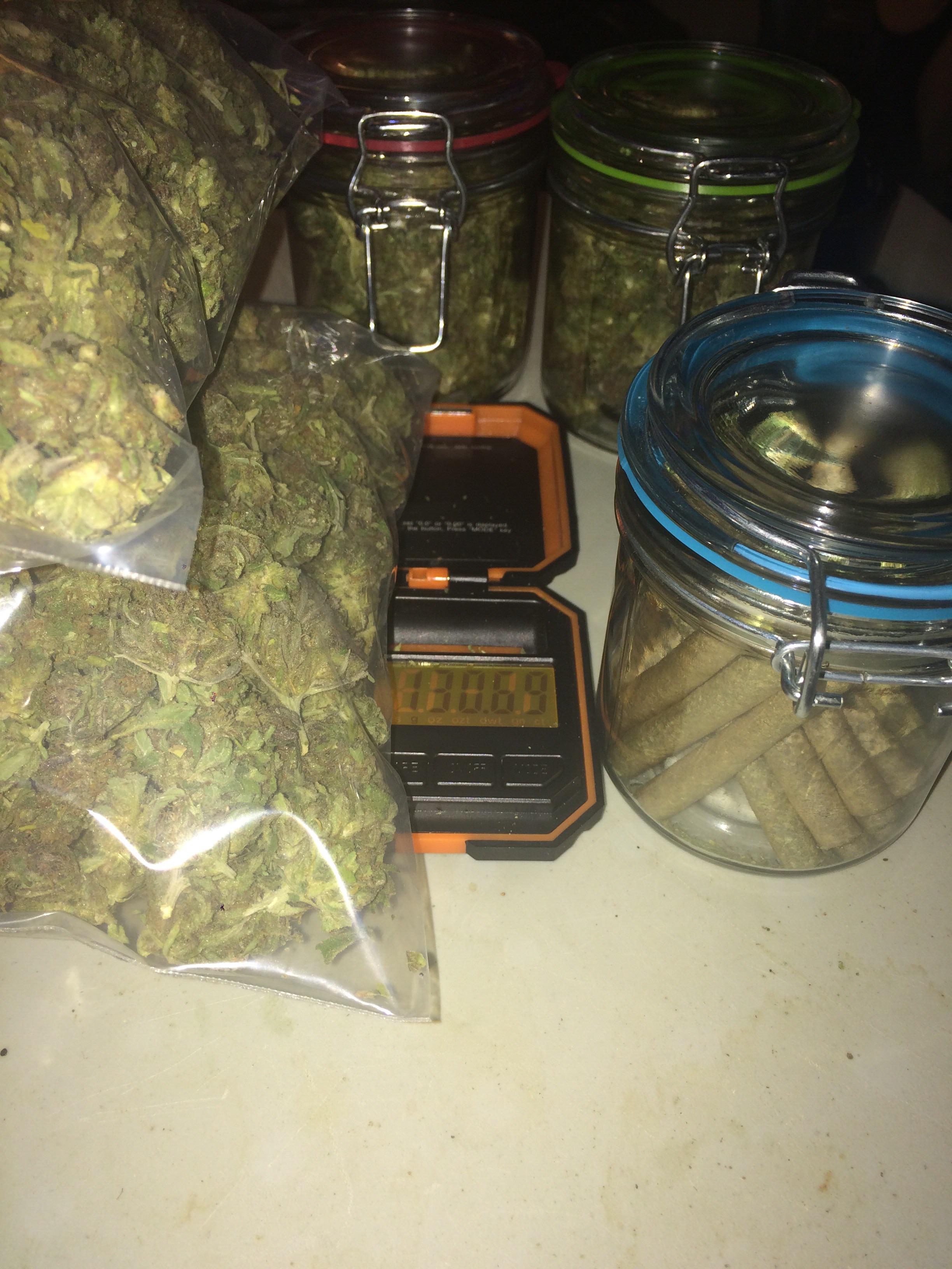 Beautiful r/hempflowers