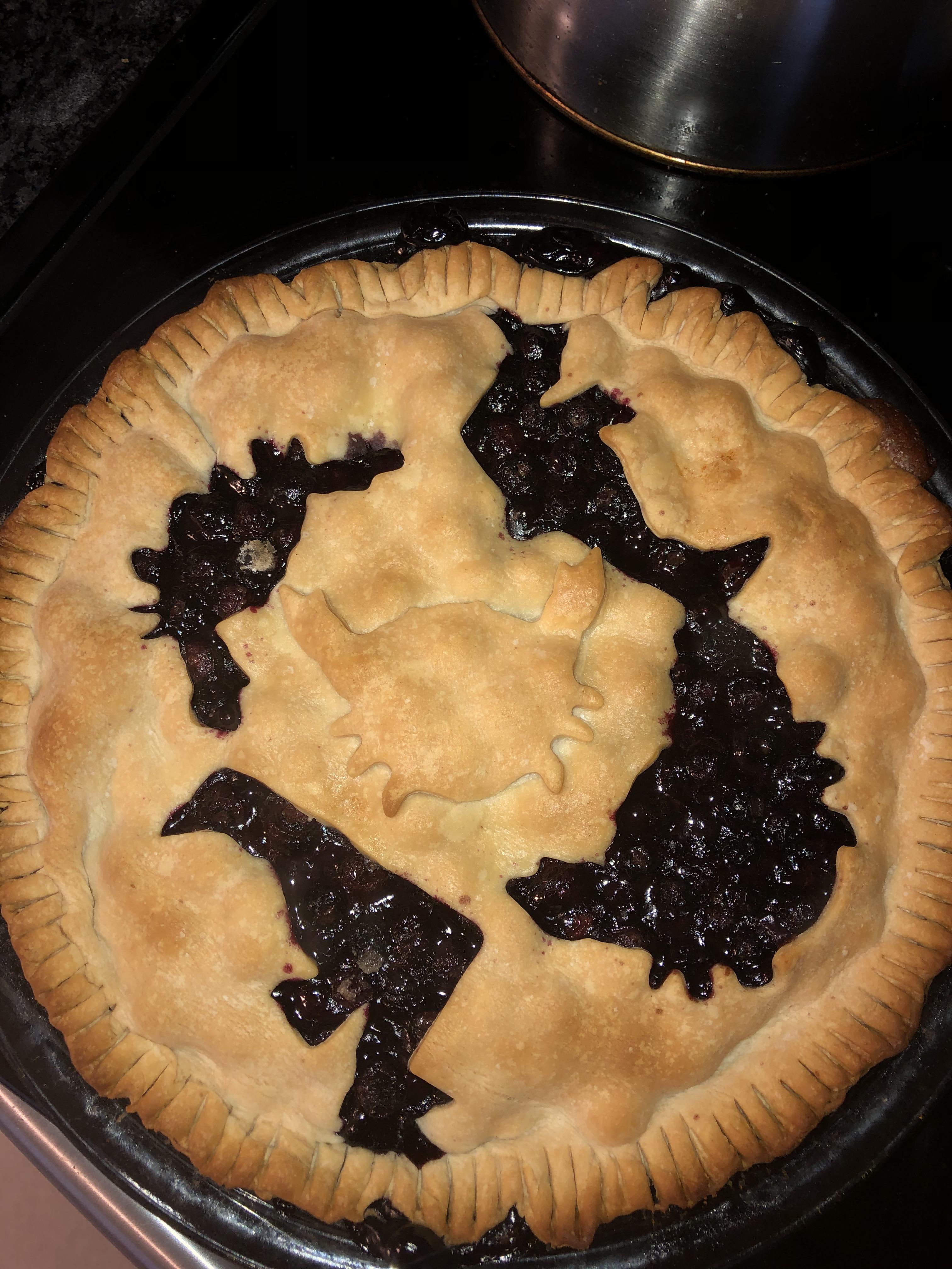 Blueberry pie to test out my new cookie cutters. r/maryland
