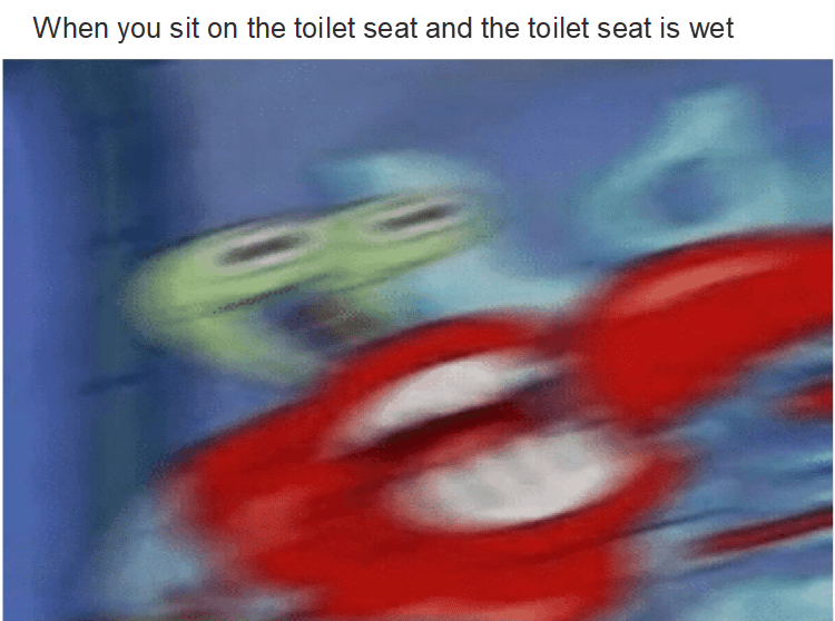 Toilet seat meme. r/memes