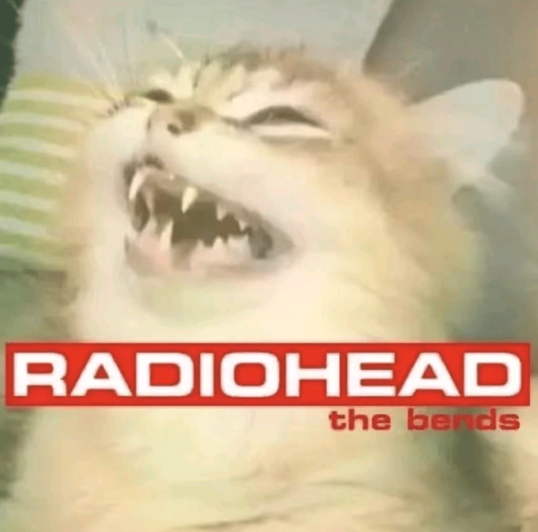 Radiocat : r/radiohead