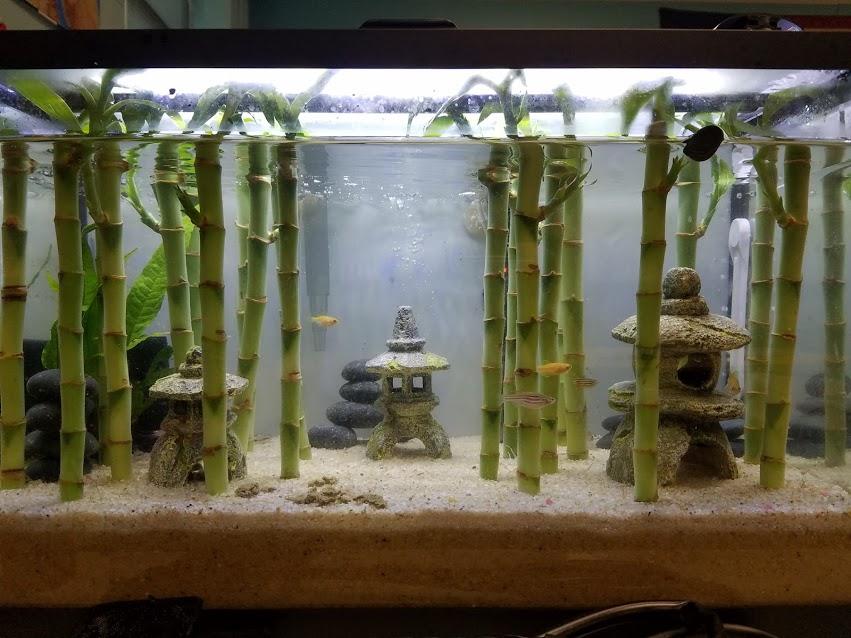 Much leaner look with the frosted background, but since I sit behind my