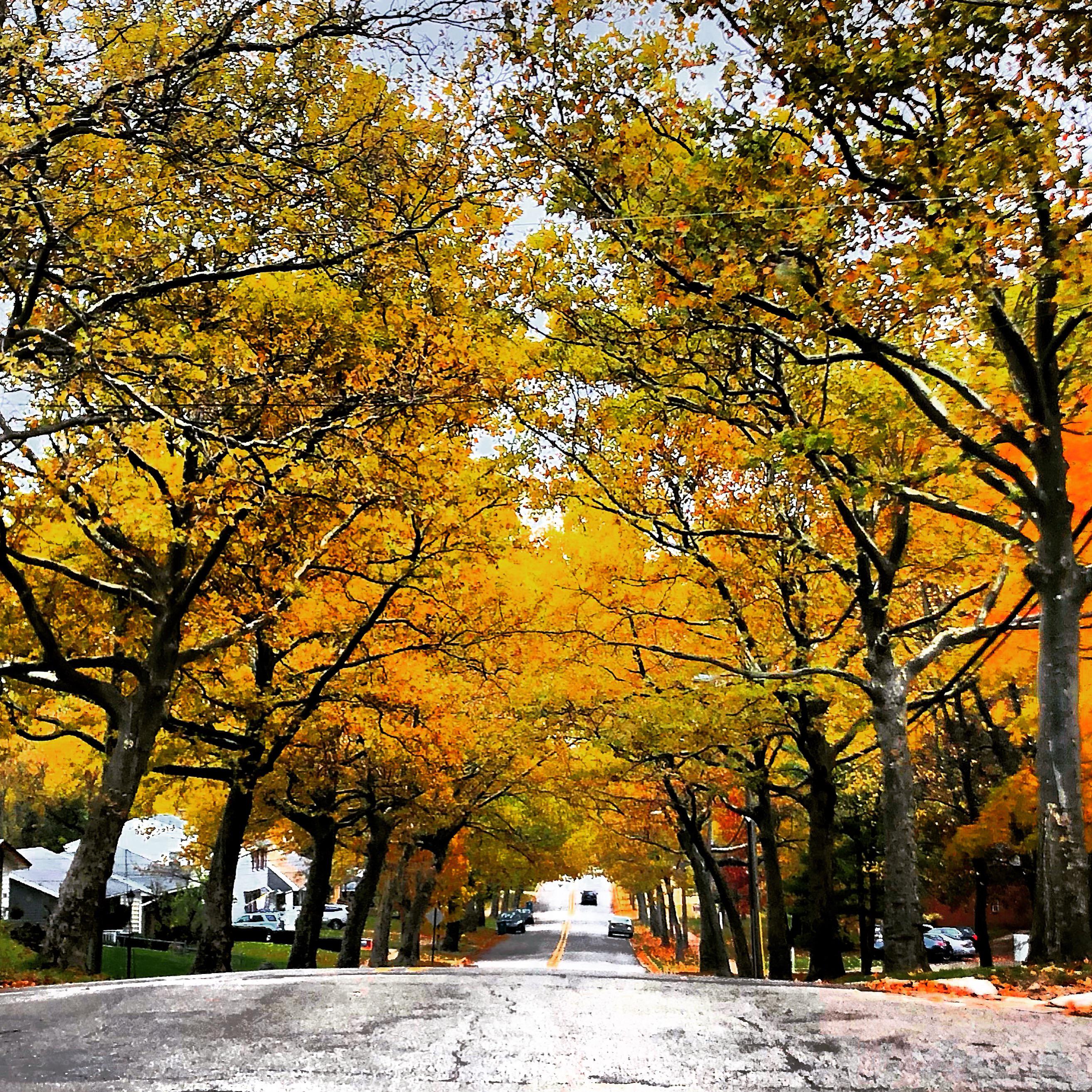 377 best Grand Ave images on Pholder Travel, Braves and Phoenix