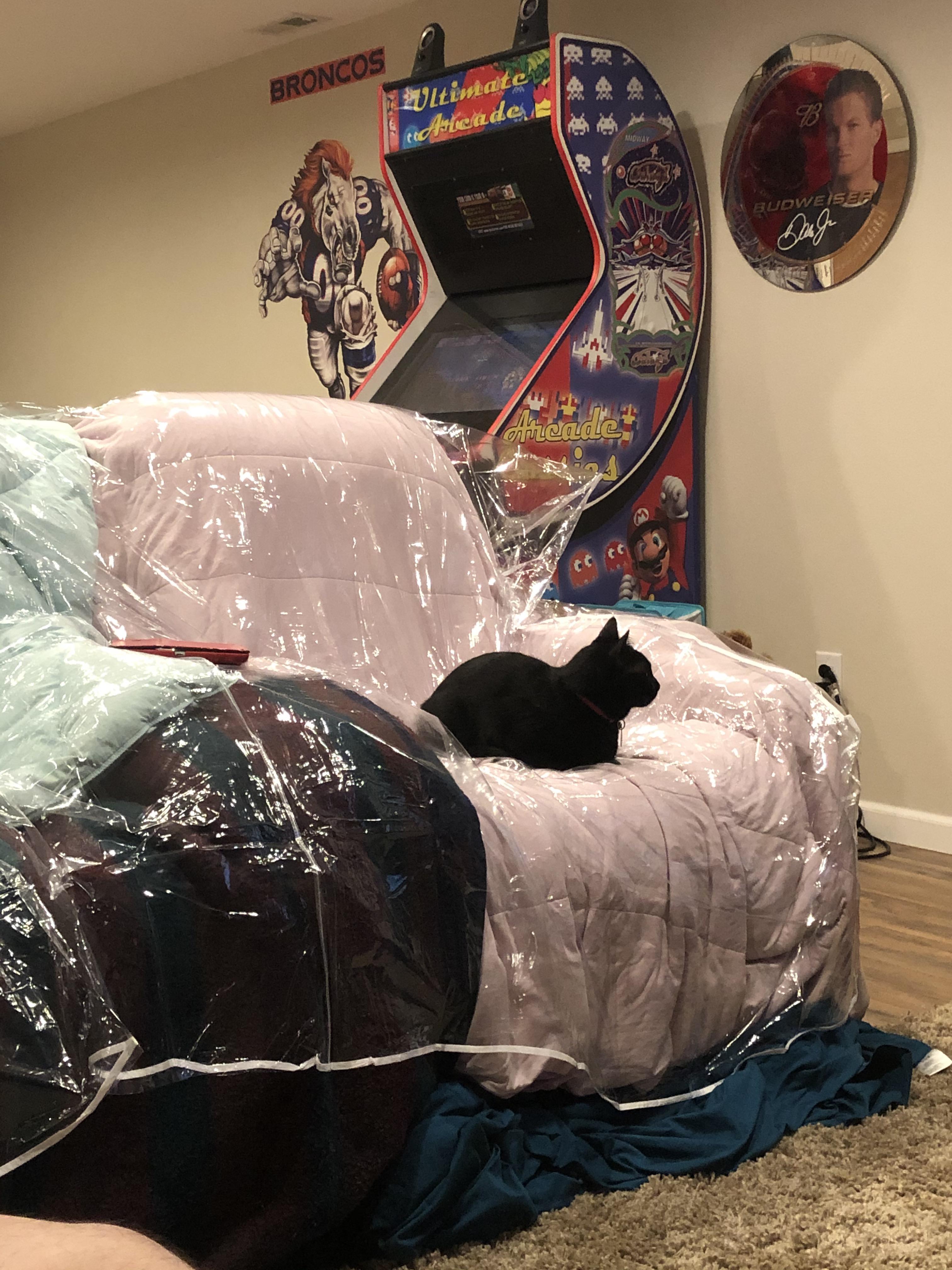 When your staying at someone’s house for a couple weeks with your cats