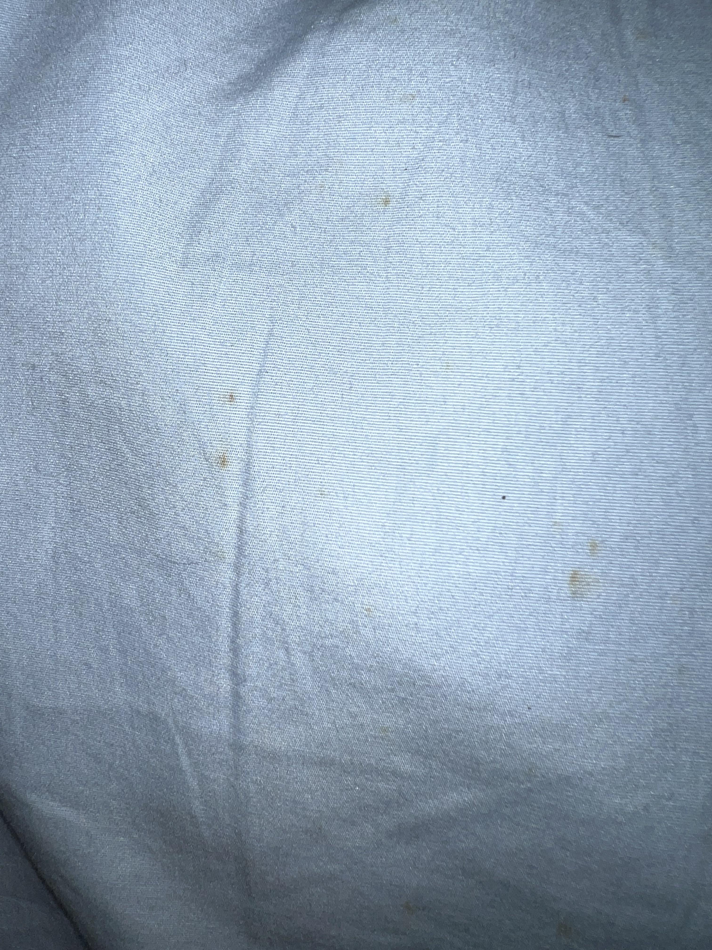 Is this bed bug rust stains/excretment? r/Bedbugs