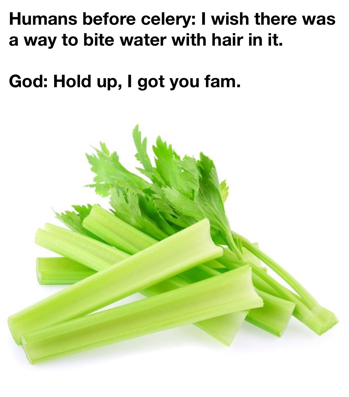 If you were given celery as a kid to take to school I’m here to talk if