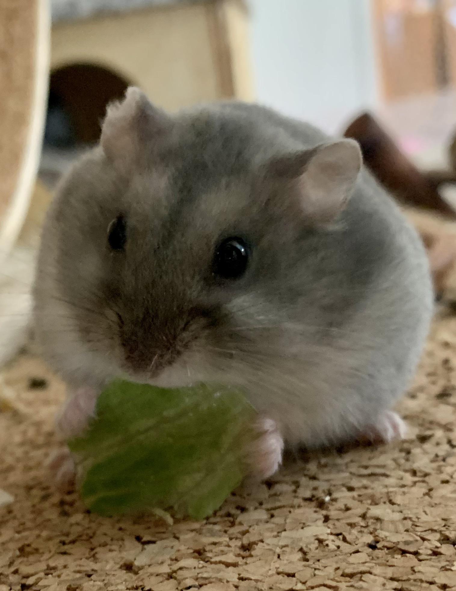 Excuse me, do you have a minute to talk about our Lord and Saviour