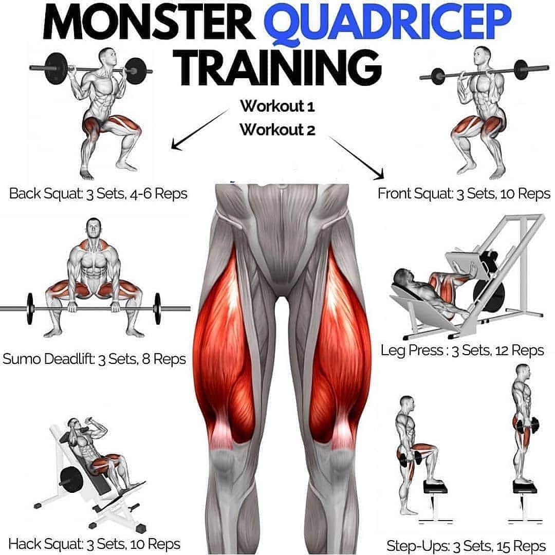 Monster Quadricep Workouts r/LoveWithFitness
