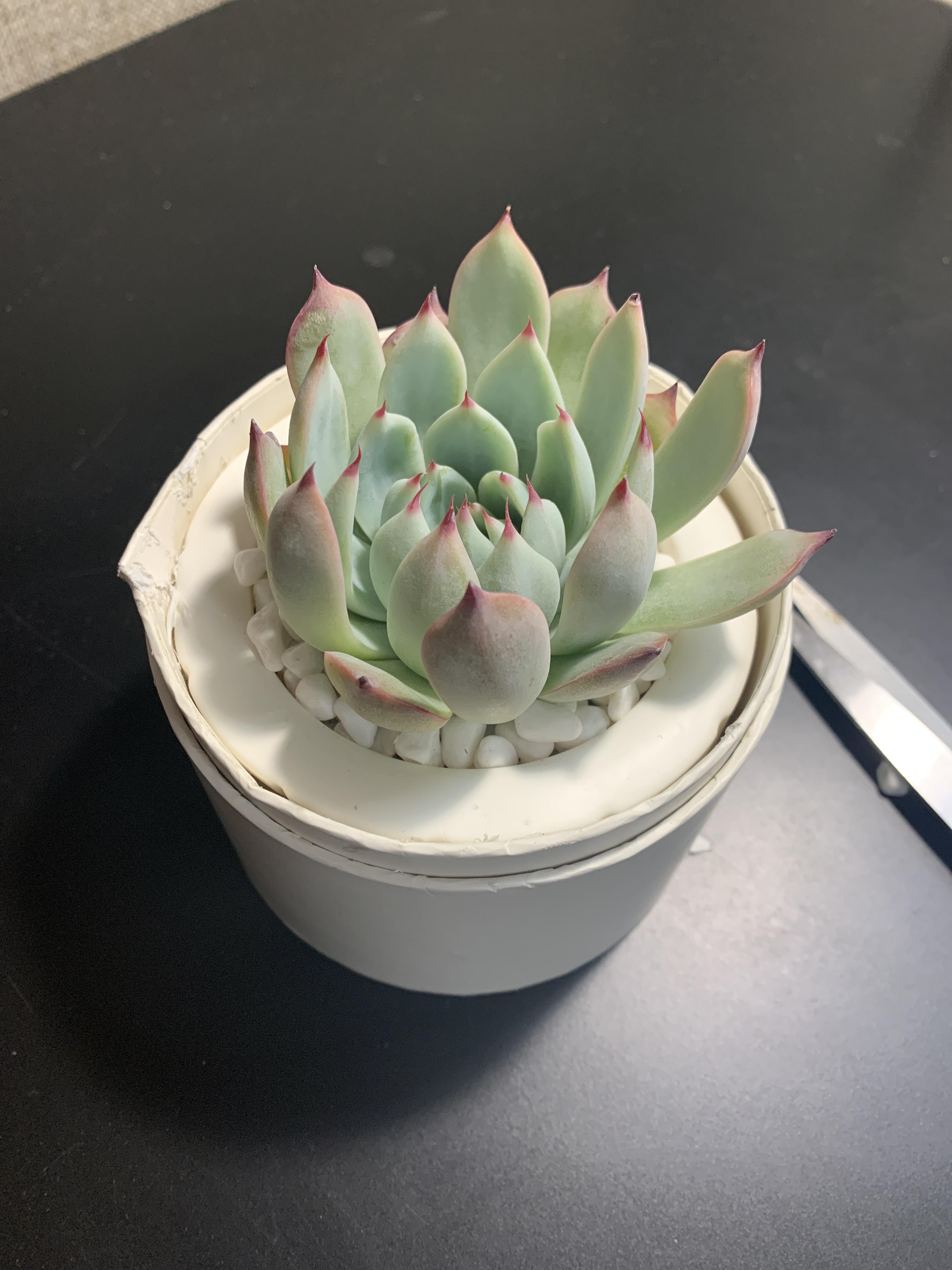 How do I get it out of this box (1800flowers gift)?? Got this in the