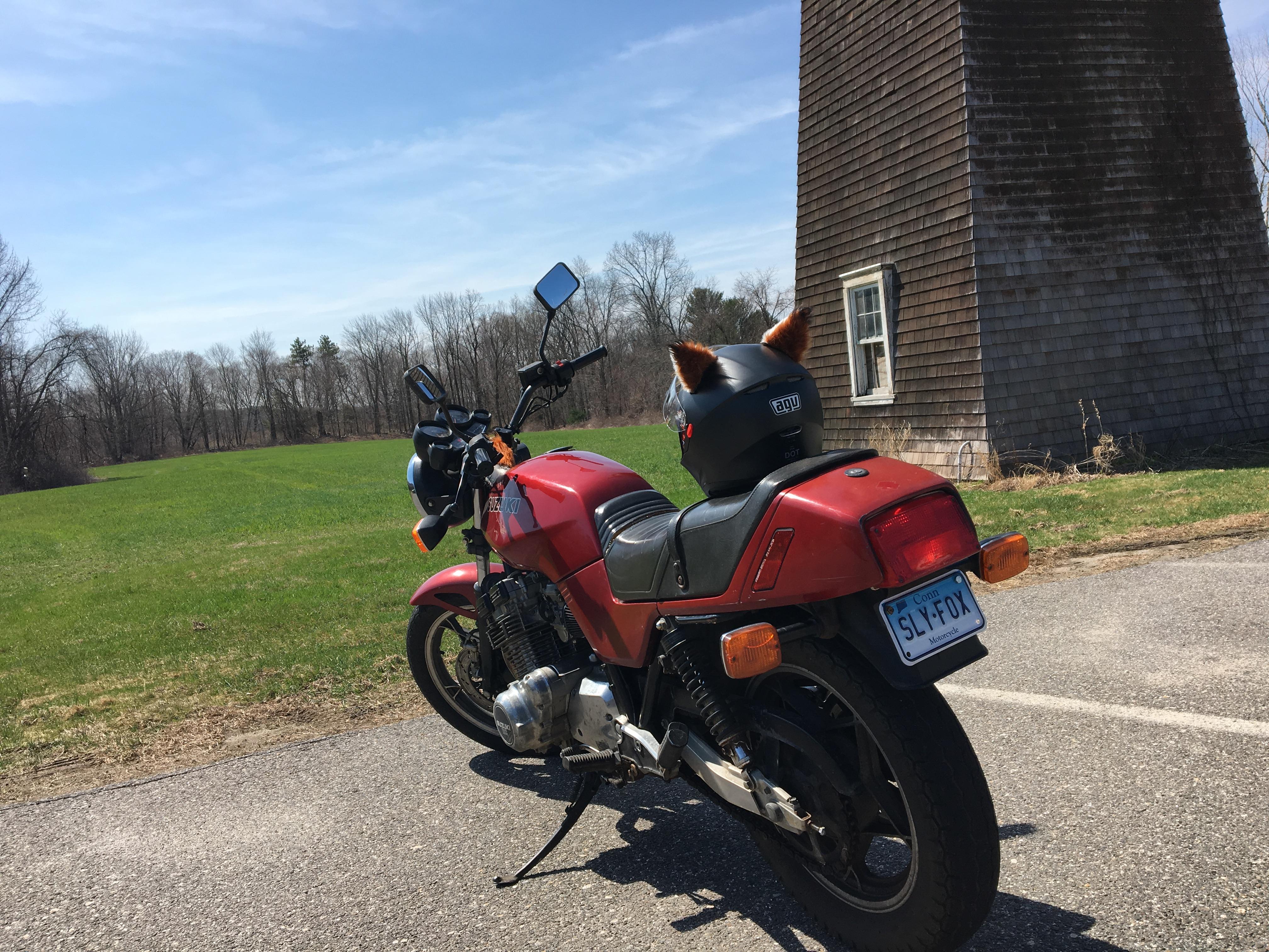 Finally received my custom licence plate! r/zootopia