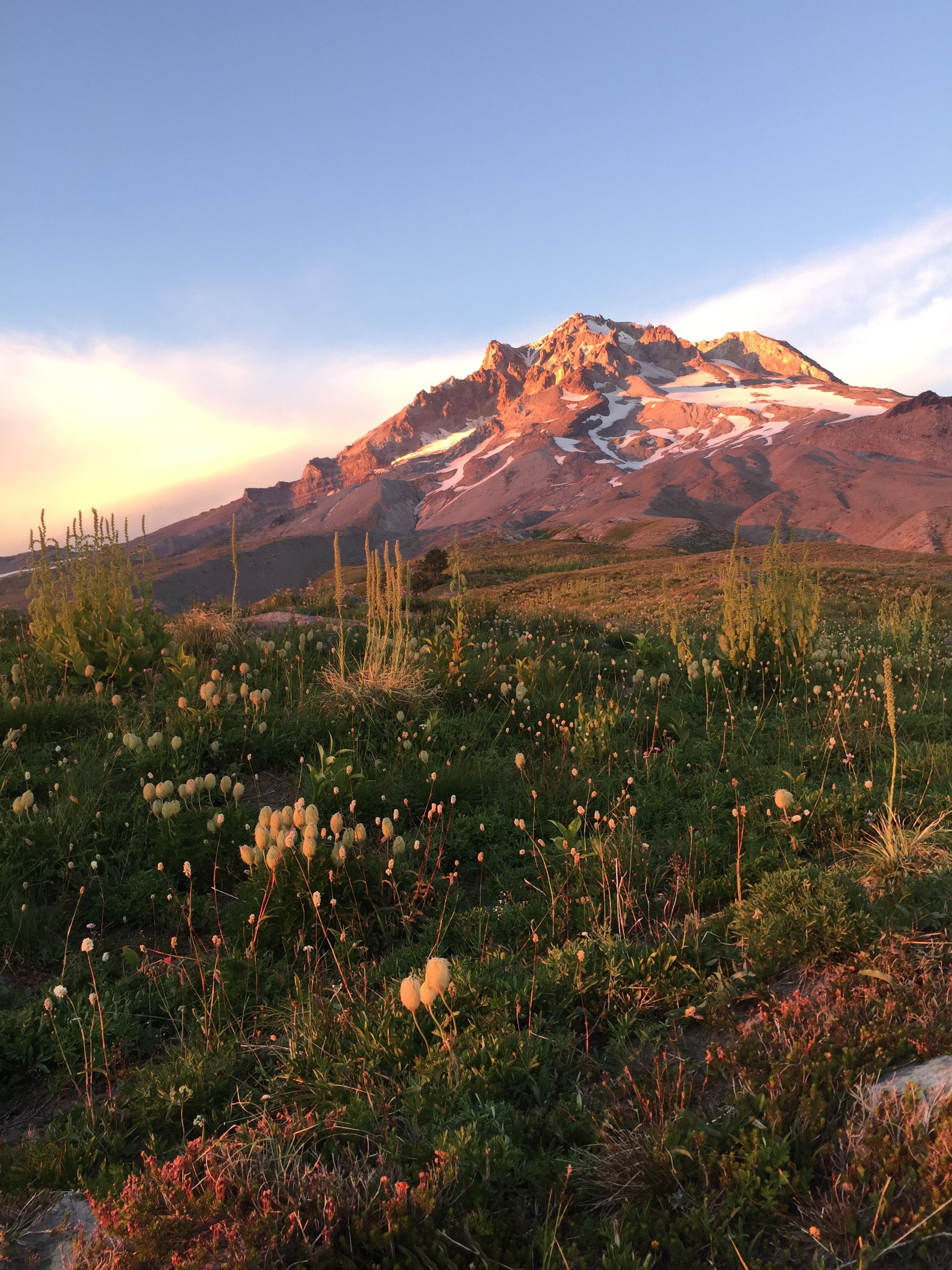 Mt. Hood (paradise park hike) r/backpacking