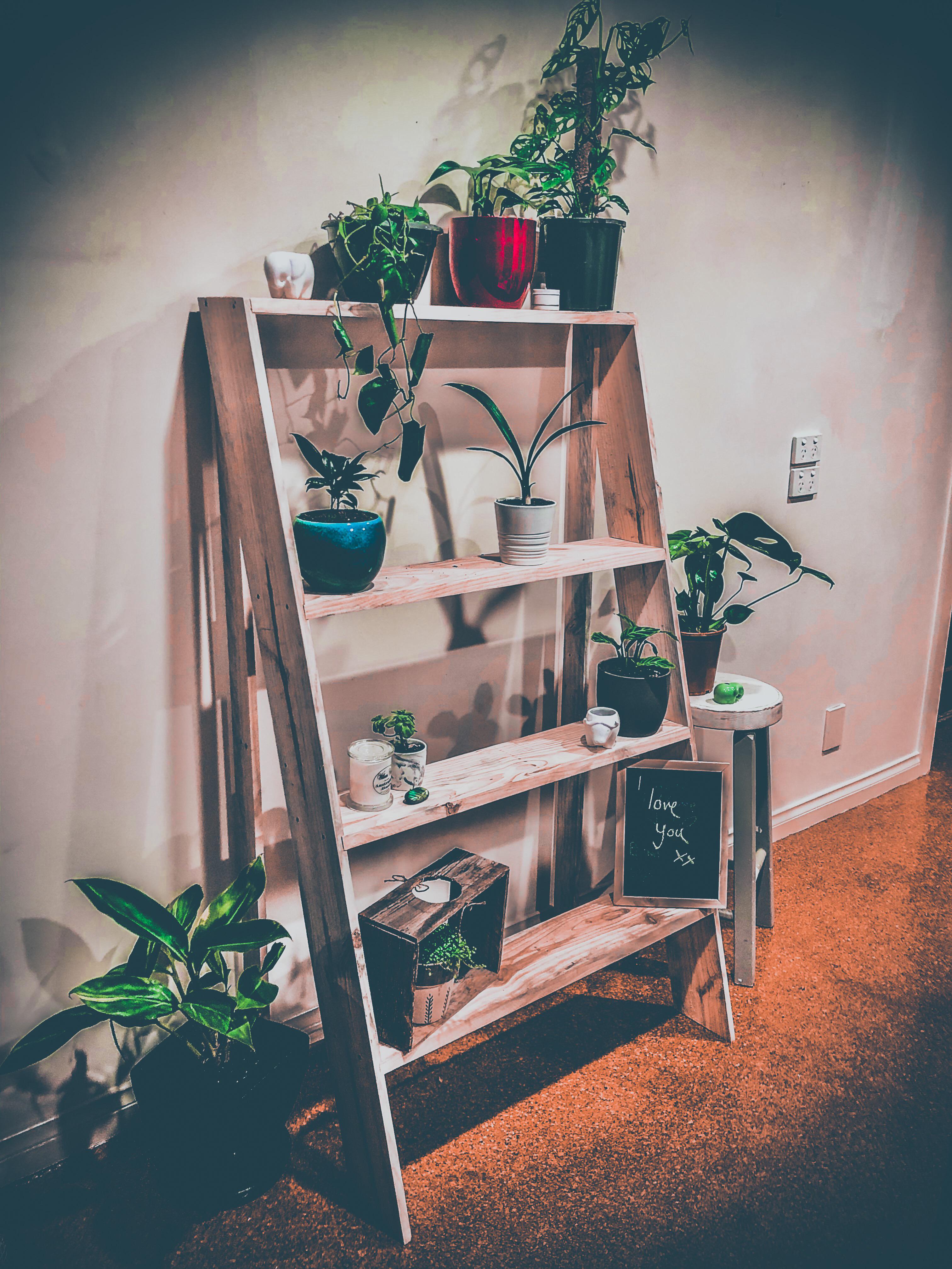 Made my girlfriend a plant stand from a pallet for her birthday r
