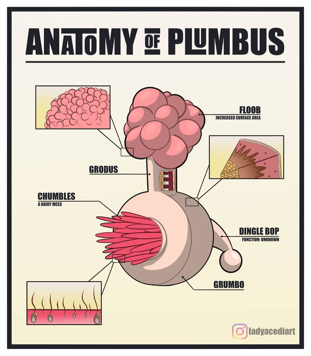 Anatomy of a Plumbus r/drawing