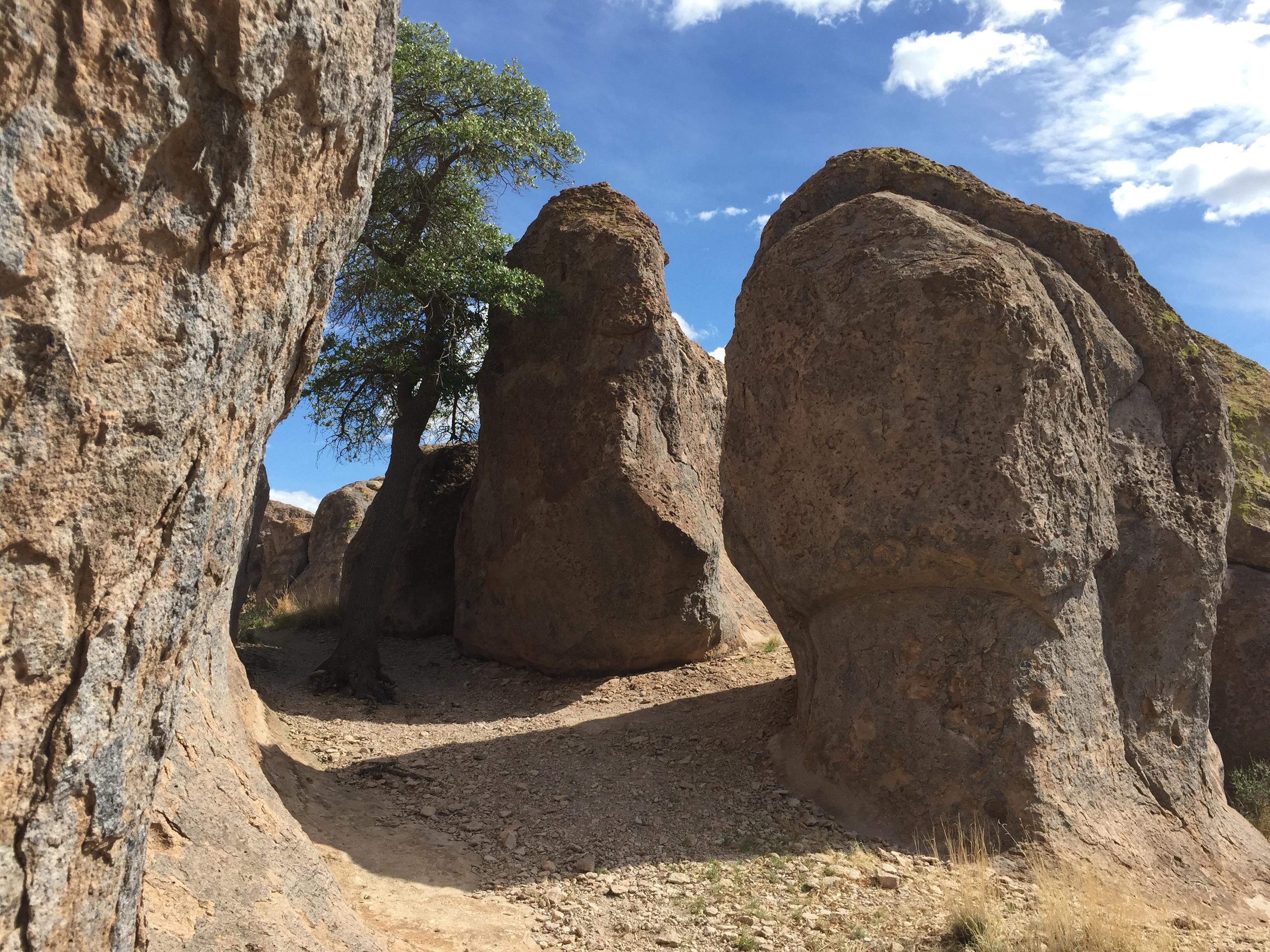 A quiet spot. Near Deming, NM r/WildernessBackpacking
