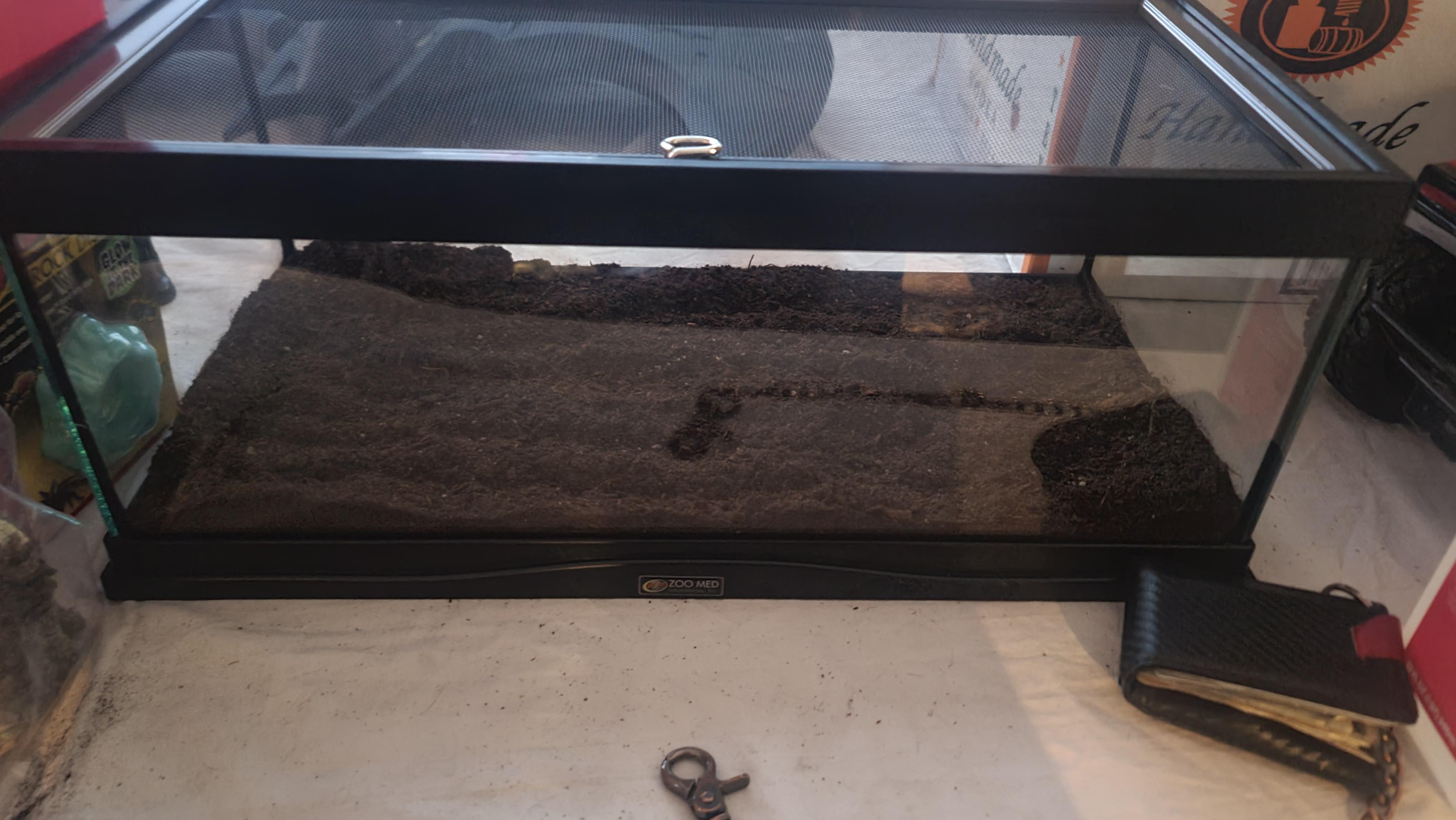 Curly hair enclosure r/tarantulas