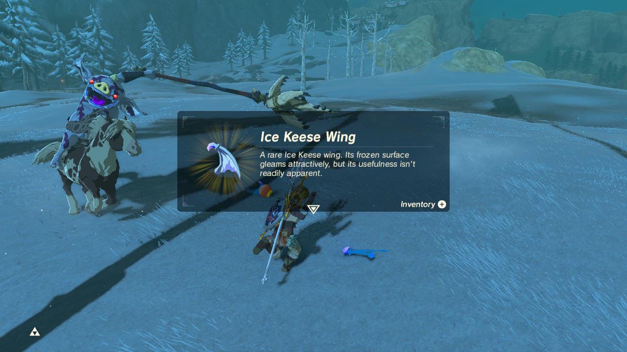 Got the ice keese wing! r/Breath_of_the_Wild