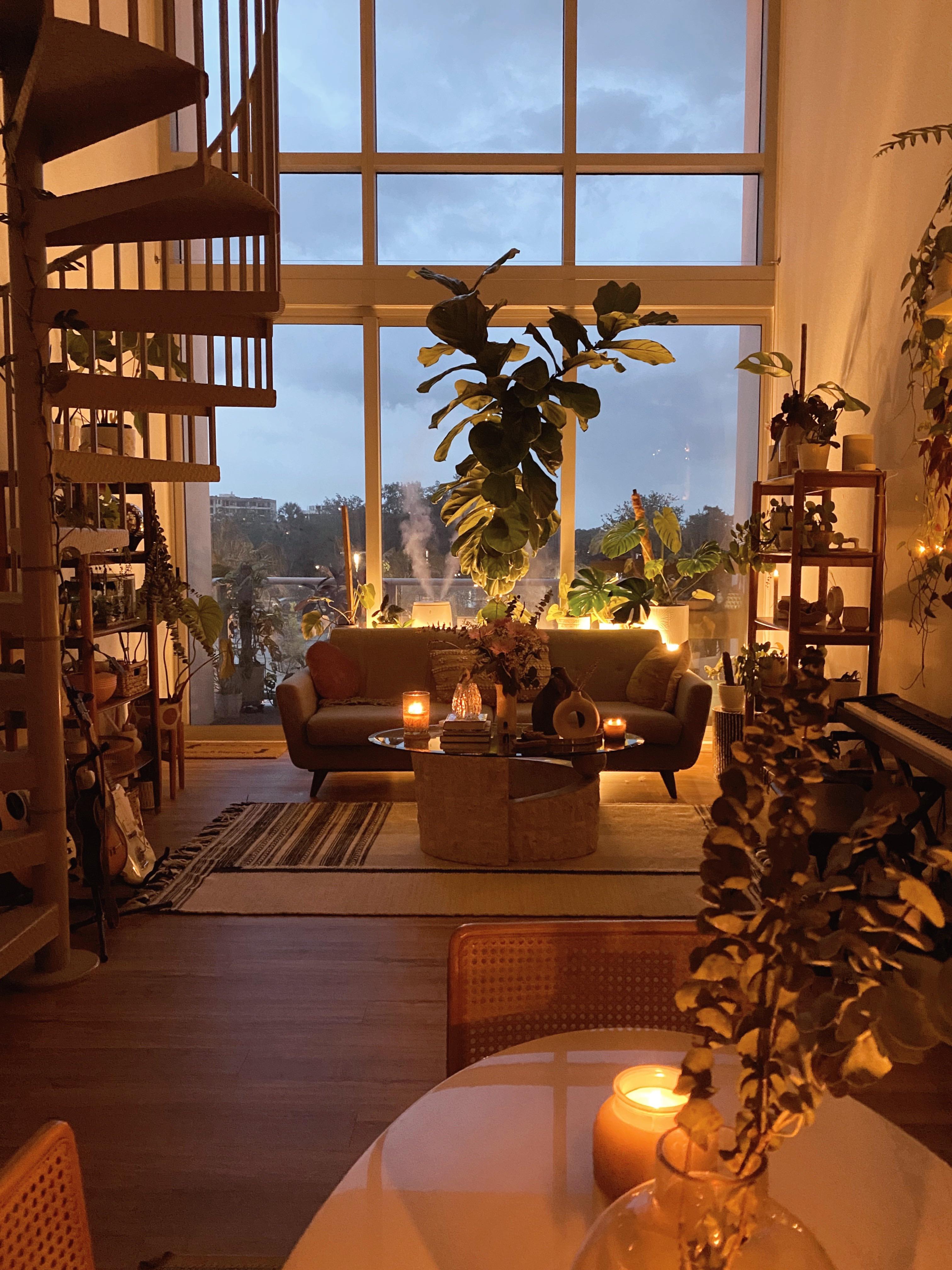 Cozy Sunday evening with my plants. r/CozyPlaces