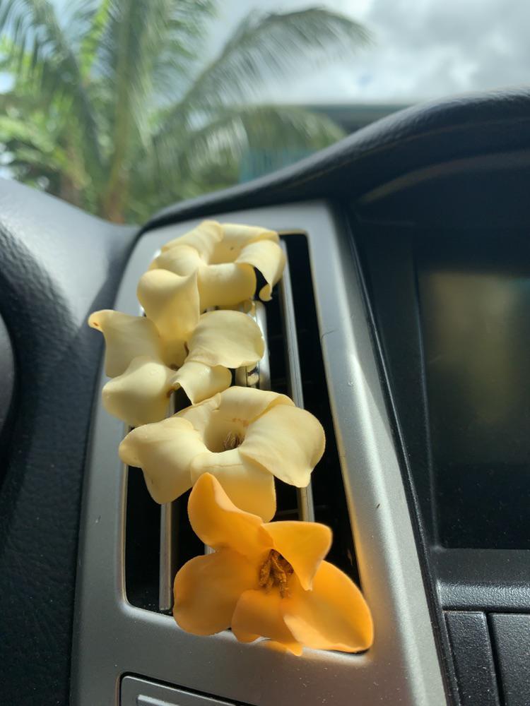 46 Hilarious Air Freshener Puns Punstoppable 🛑