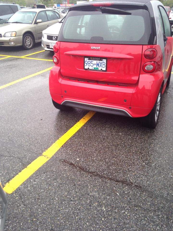 Smart car, dumb driver r/badparking