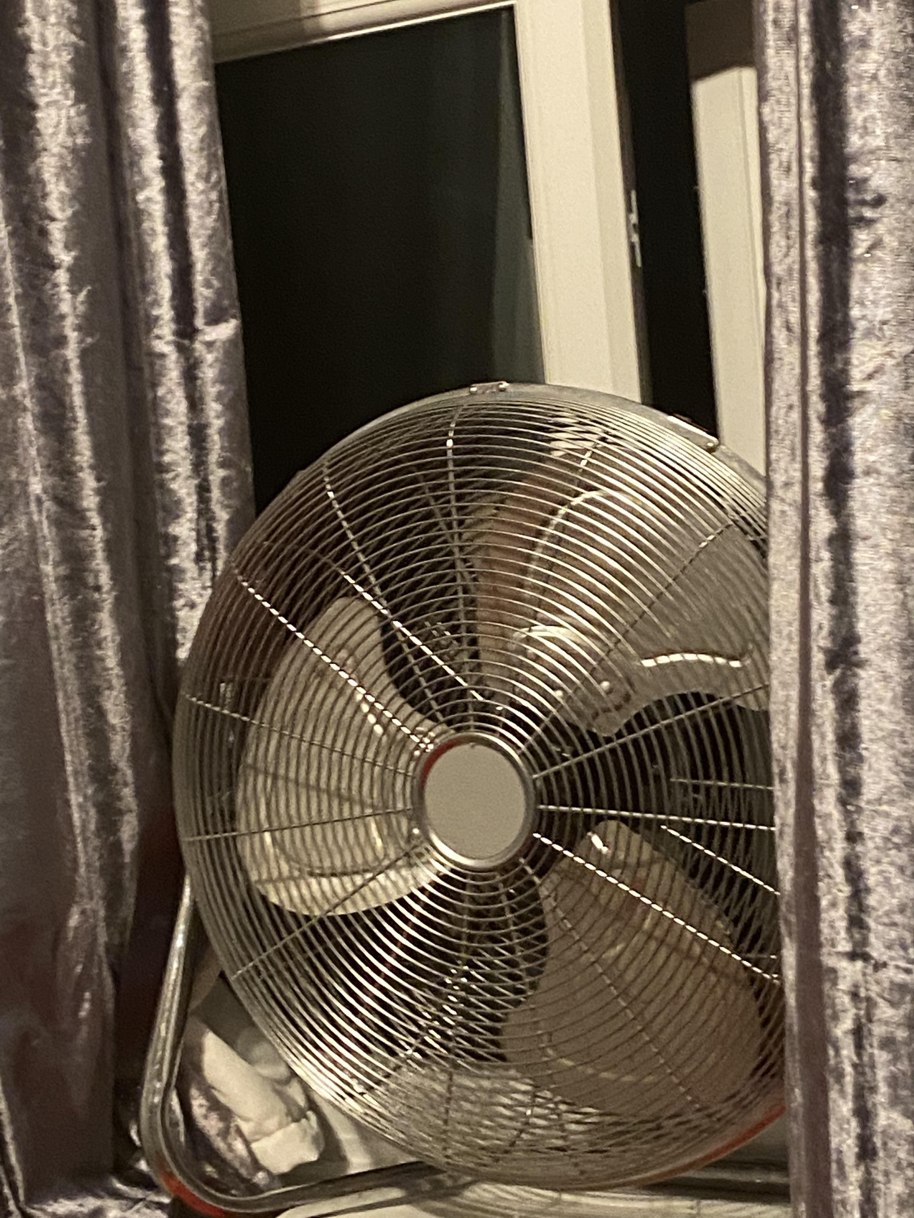 Yoyowooh Onlyfans Is This Her Last Post