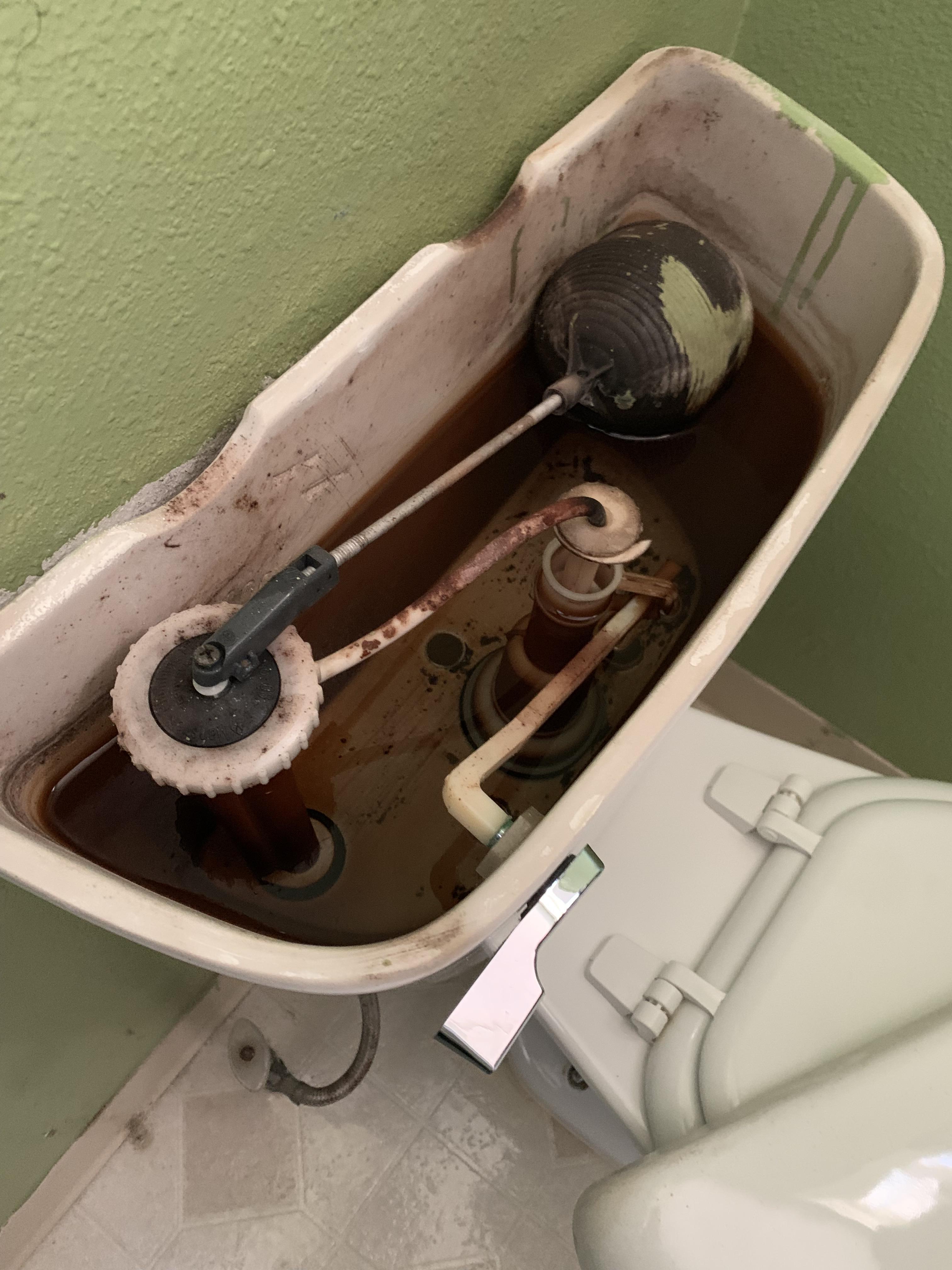 Staying at an Airbnb with 4 others, but our 1 toilet doesn’t drain