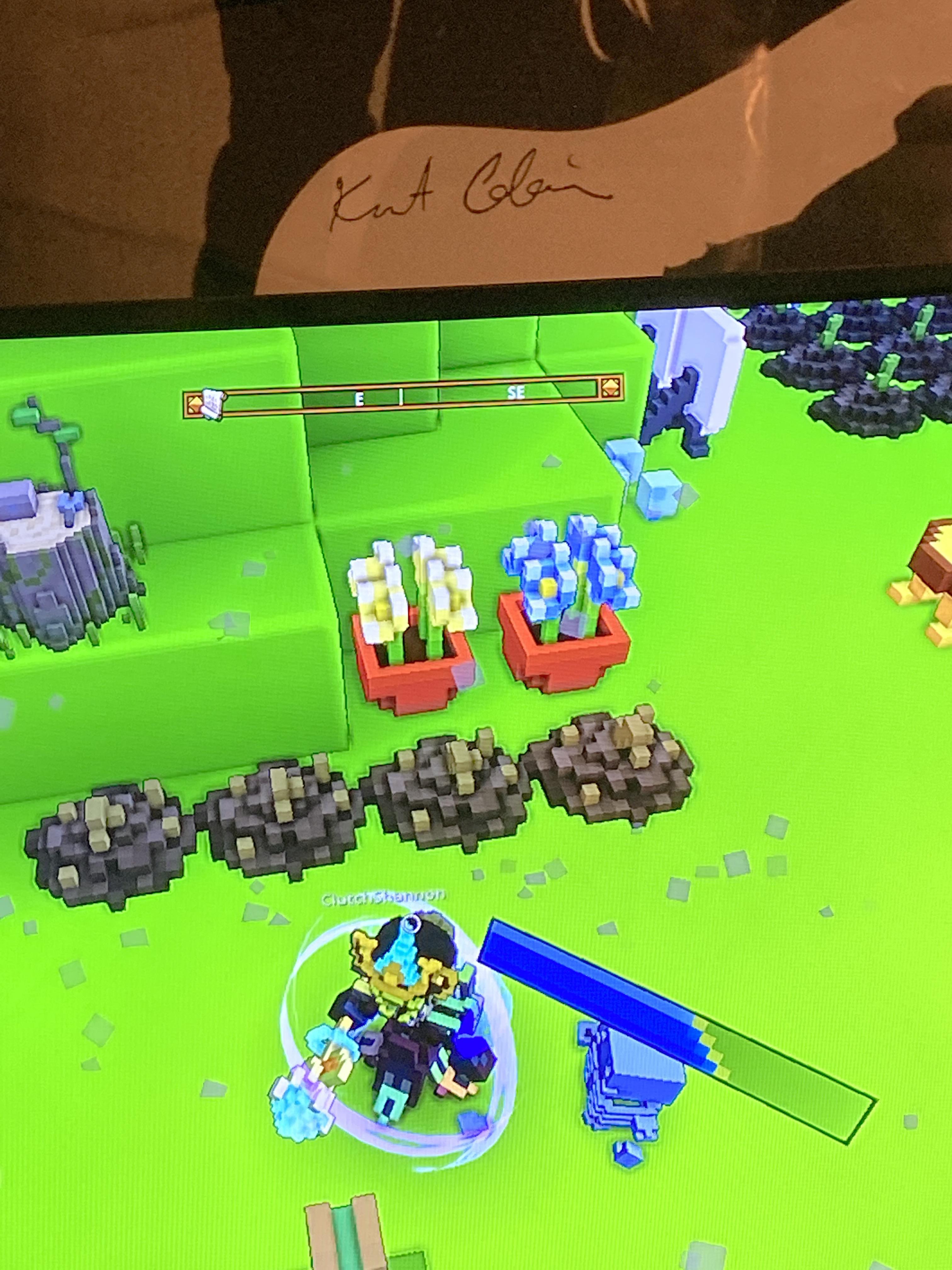 Why won’t my plants grow? I am growing bulbous cactus bud and other