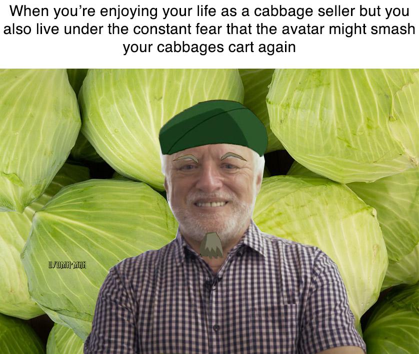 My cabbages ! r/AvatarMemes