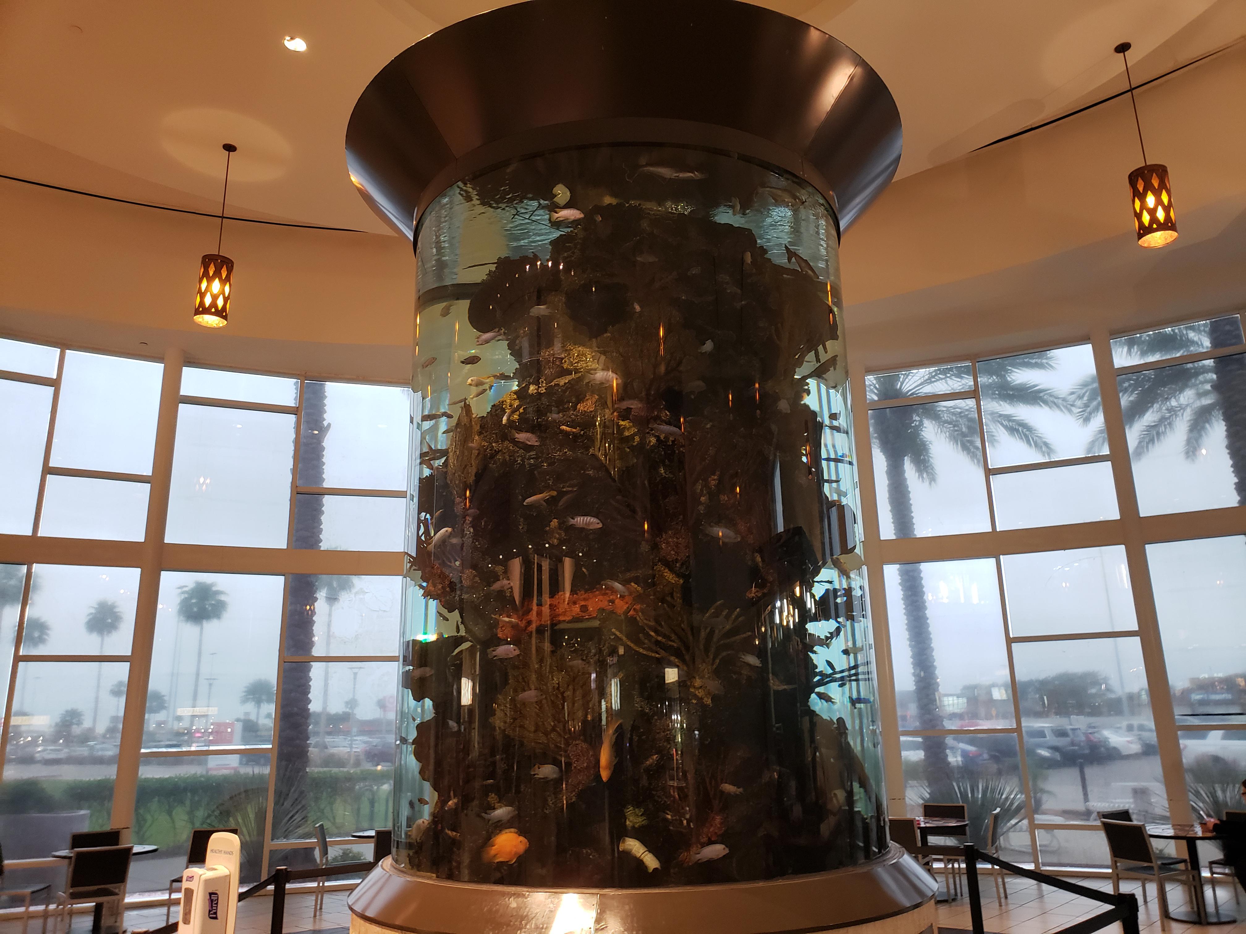 Thought people would enjoy the Corpus Christi Tx mall aquarium r