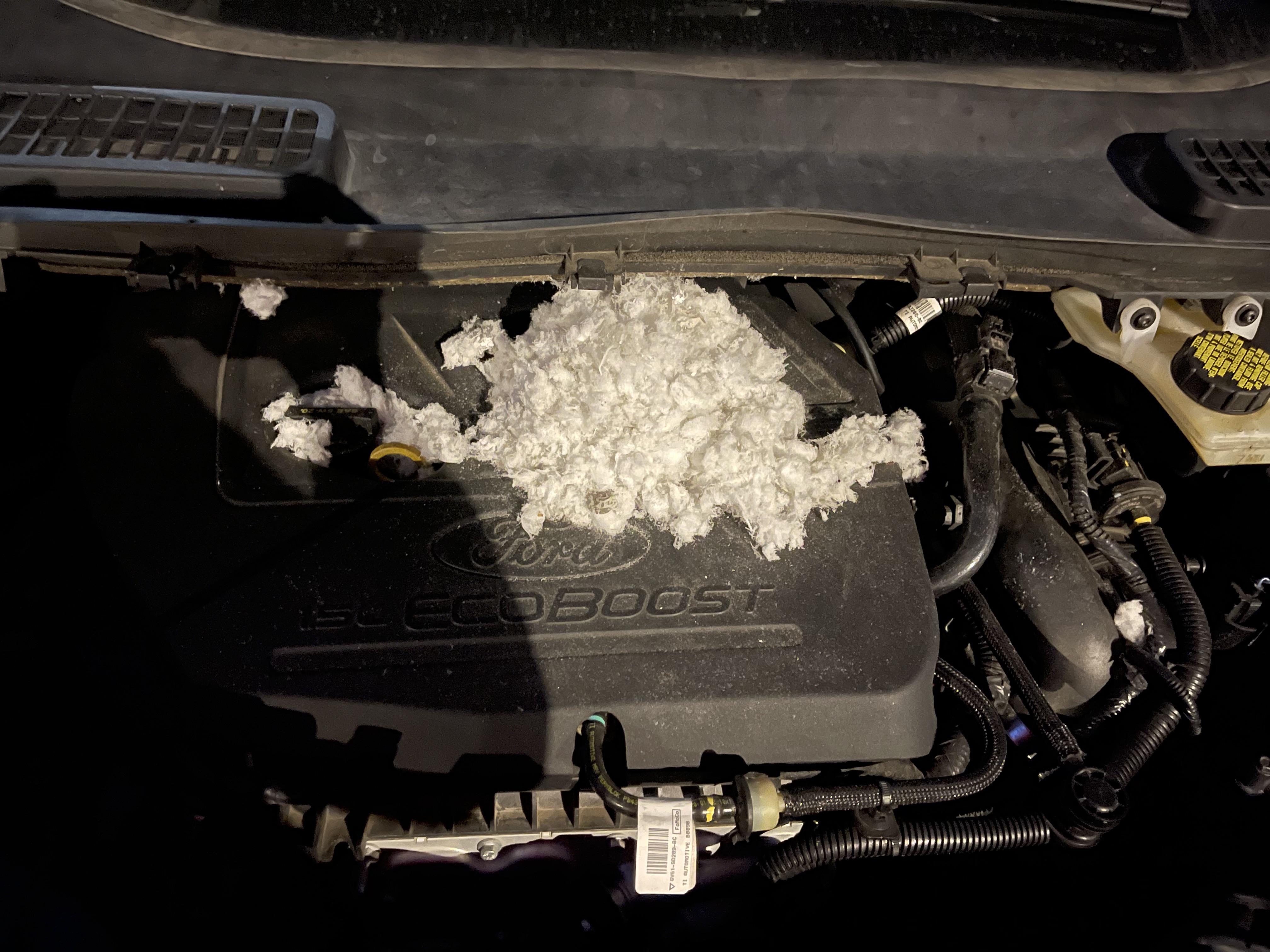 Started smelling burning plastic. Lifted my hood and found all of this