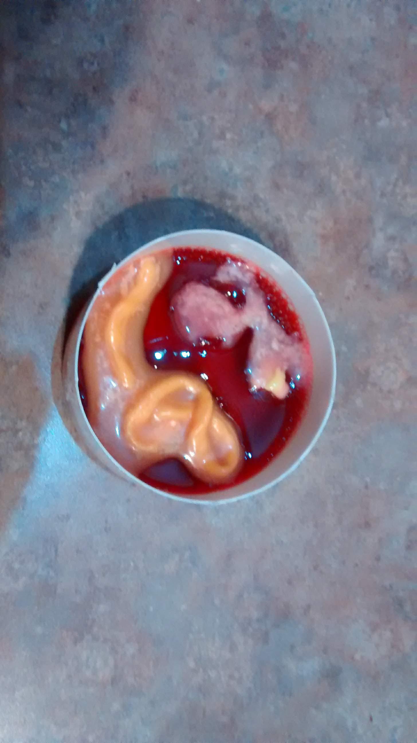 Hot dog flavored jello caw caw jello