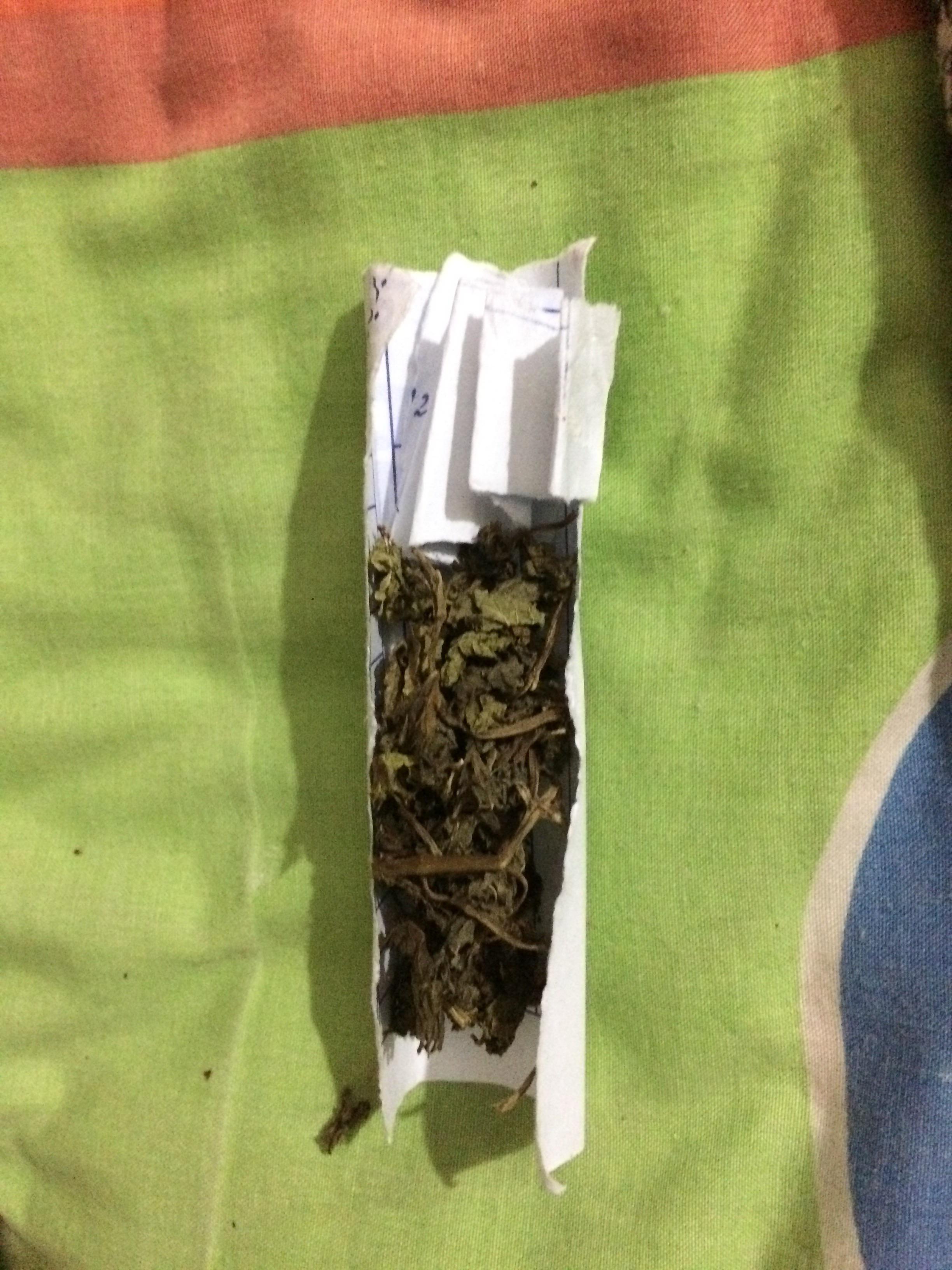 When you are so cheap to get weed. And you smoke homemade joint with