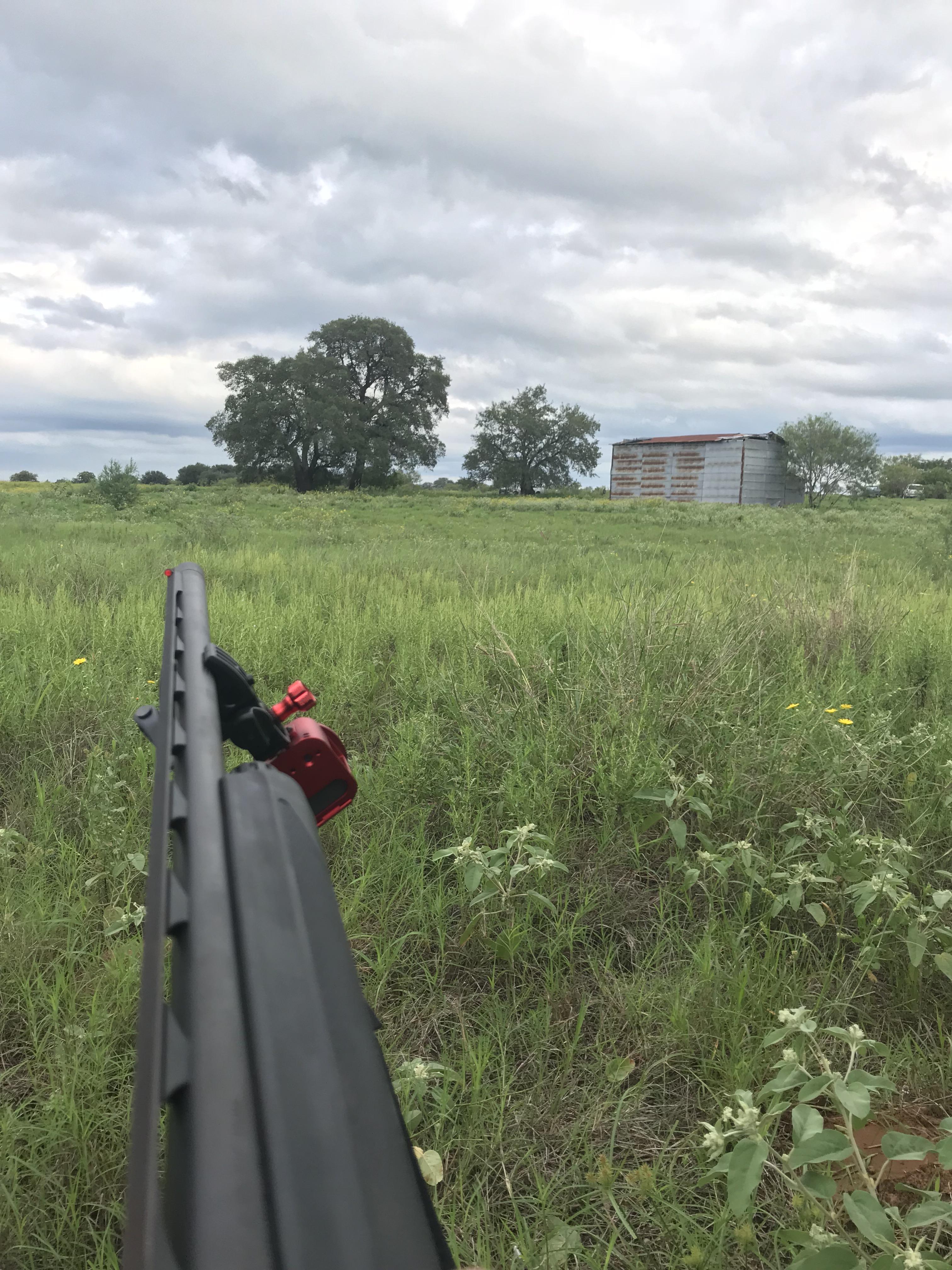 Just Another Day of Dove hunting in Texas r/Outdoors